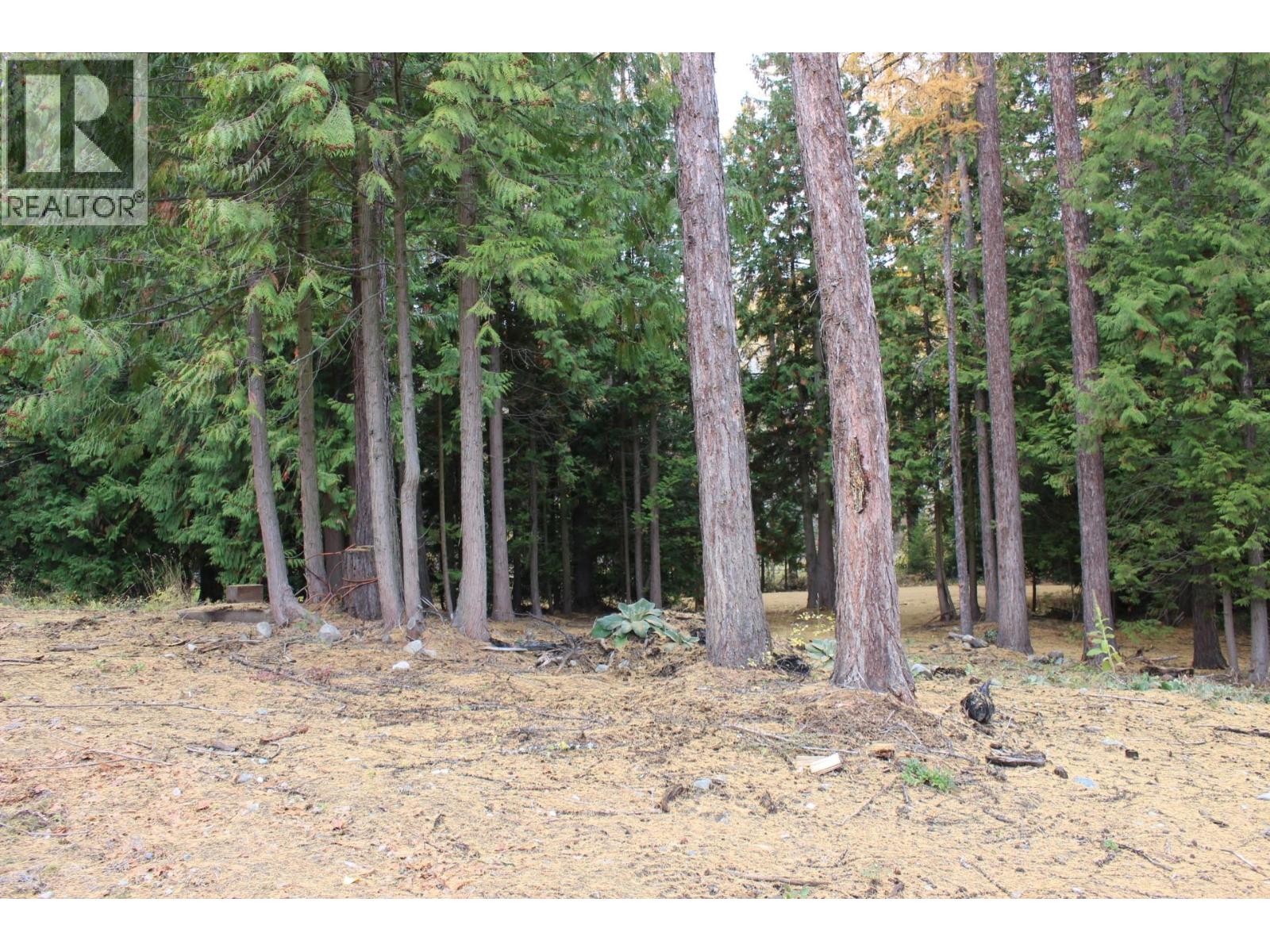 2640 3b Highway, Rossland, British Columbia  V0G 1Y0 - Photo 6 - 10380206