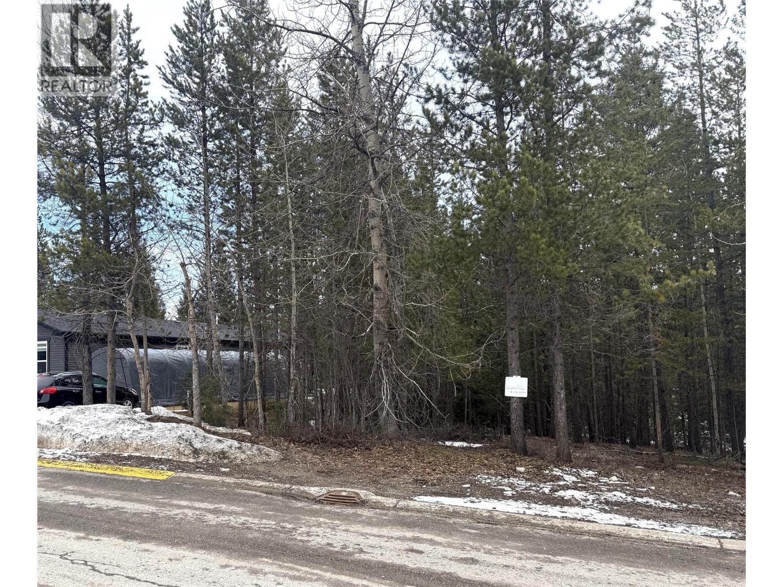 18 Darby Crescent, Elkford, British Columbia  V0B 1H0 - Photo 4 - 10380629