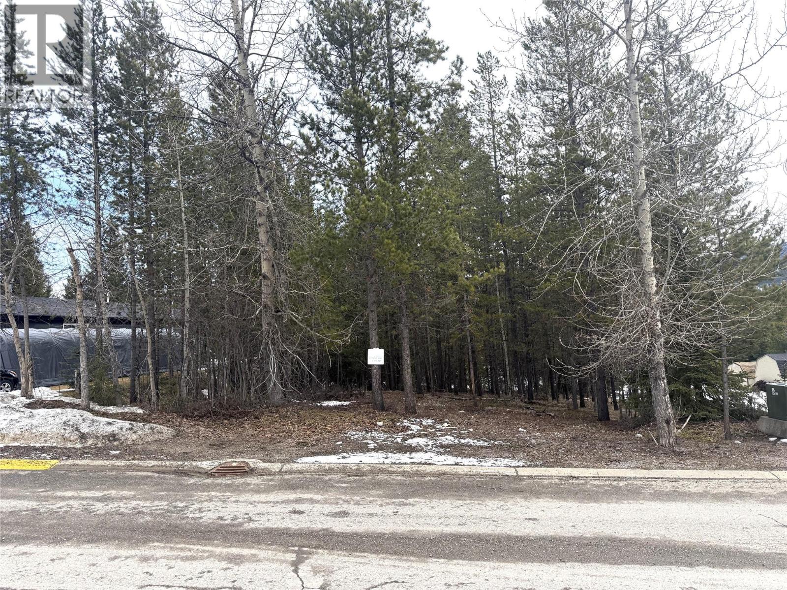 18 Darby Crescent, Elkford, British Columbia  V0B 1H0 - Photo 6 - 10380629