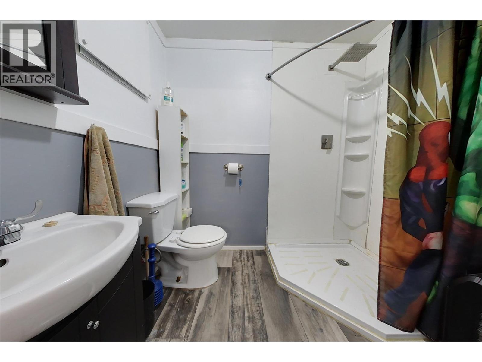 234 5th Avenue S, Cranbrook, British Columbia  V1C 2G4 - Photo 21 - 10380792