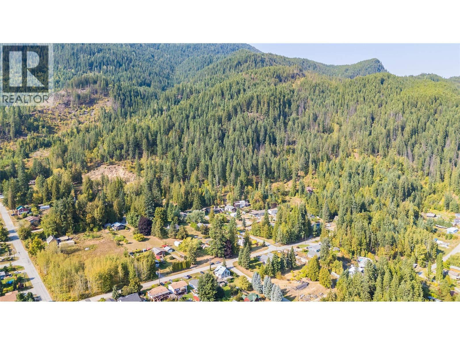 130 8th Street N, Kaslo, British Columbia  V0G 1M0 - Photo 82 - 10380697