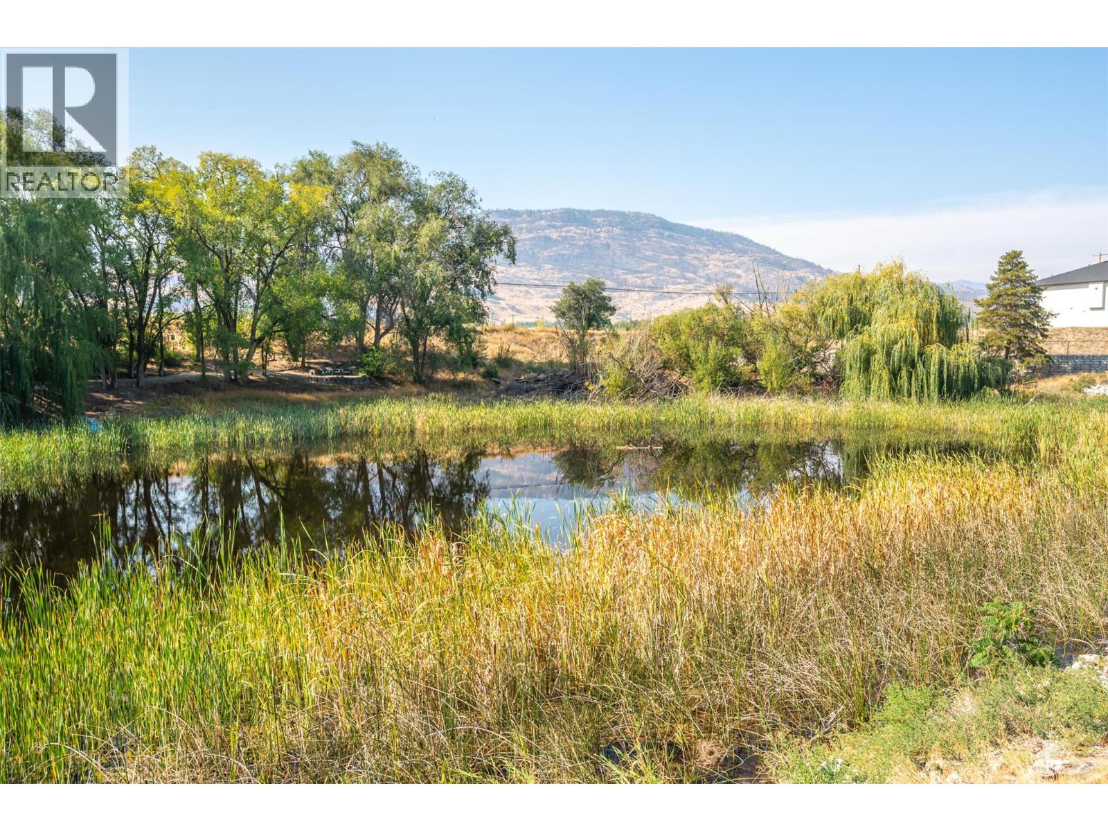 3604 Lobelia Drive, Osoyoos, British Columbia  V0H 1V1 - Photo 76 - 10380695