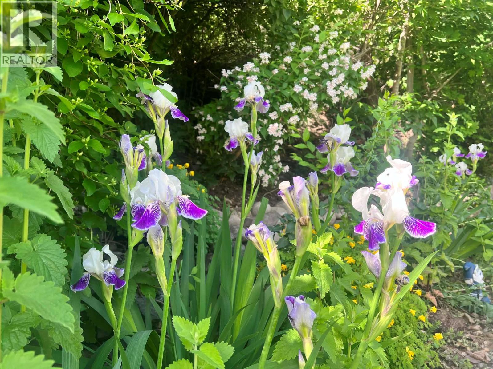 12612 Giants Head Road Unit# 3, Summerland, British Columbia  V0H 1Z7 - Photo 2 - 10380884