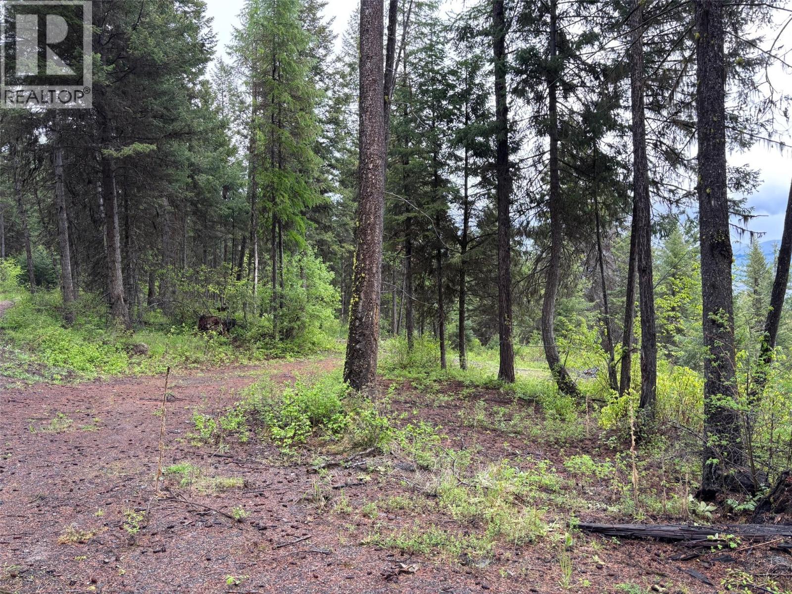 Lot 2 Hulme Creek Road, Rock Creek, British Columbia  V0H 1Y0 - Photo 2 - 10380797