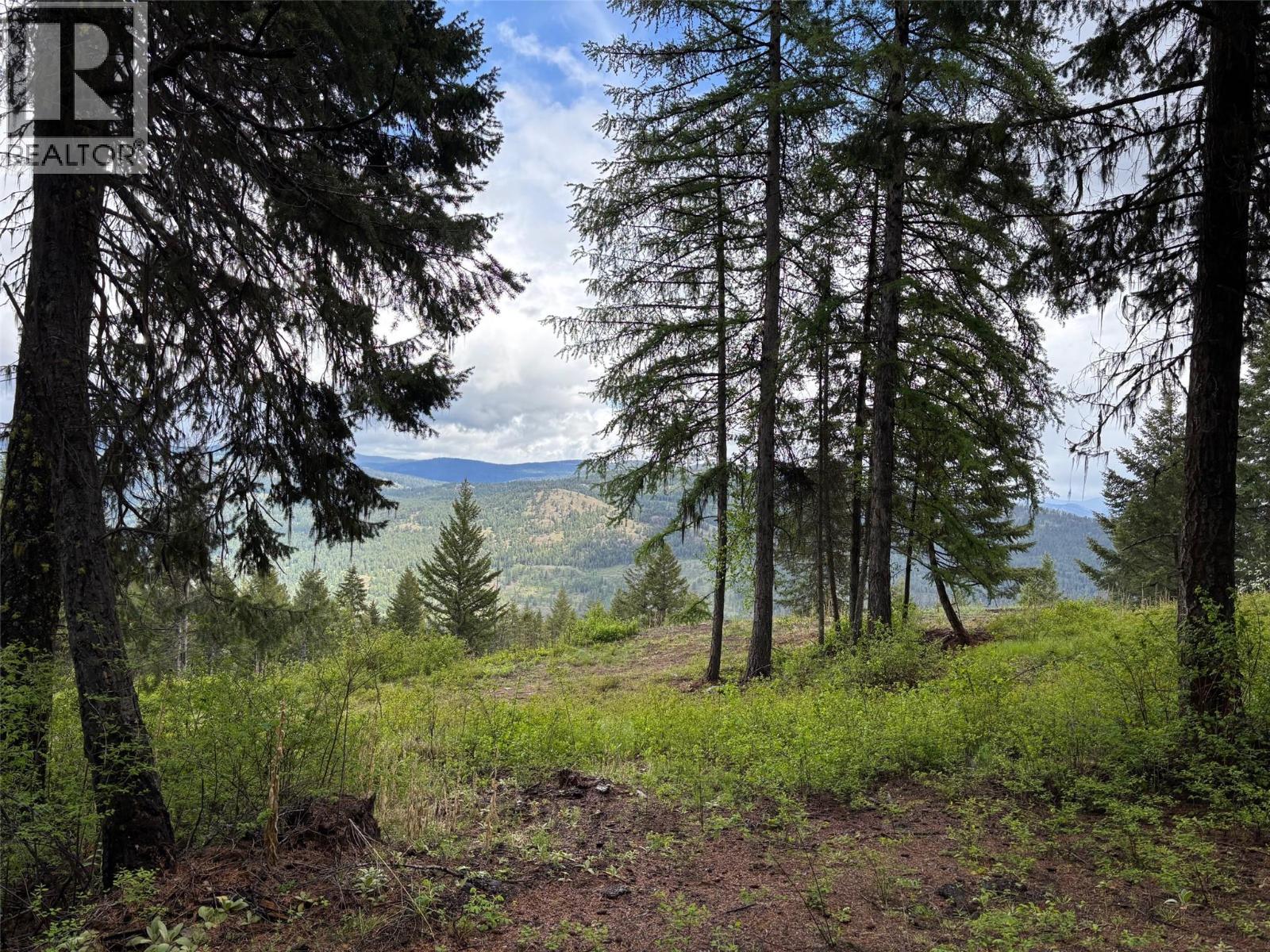 Lot 2 Hulme Creek Road, Rock Creek, British Columbia  V0H 1Y0 - Photo 3 - 10380797