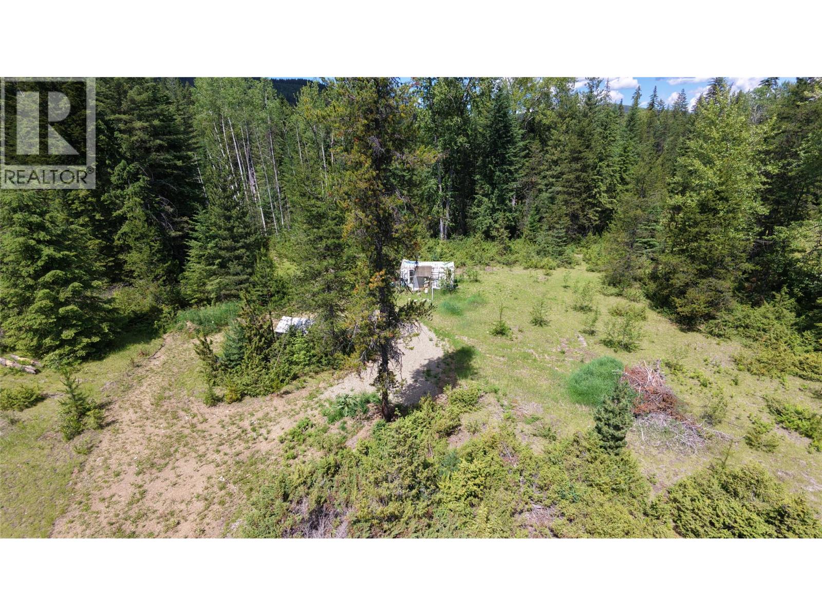 Barnes Creek Forest Service Road Lot# 34, Needles, British Columbia  V0G 1J0 - Photo 15 - 10379532