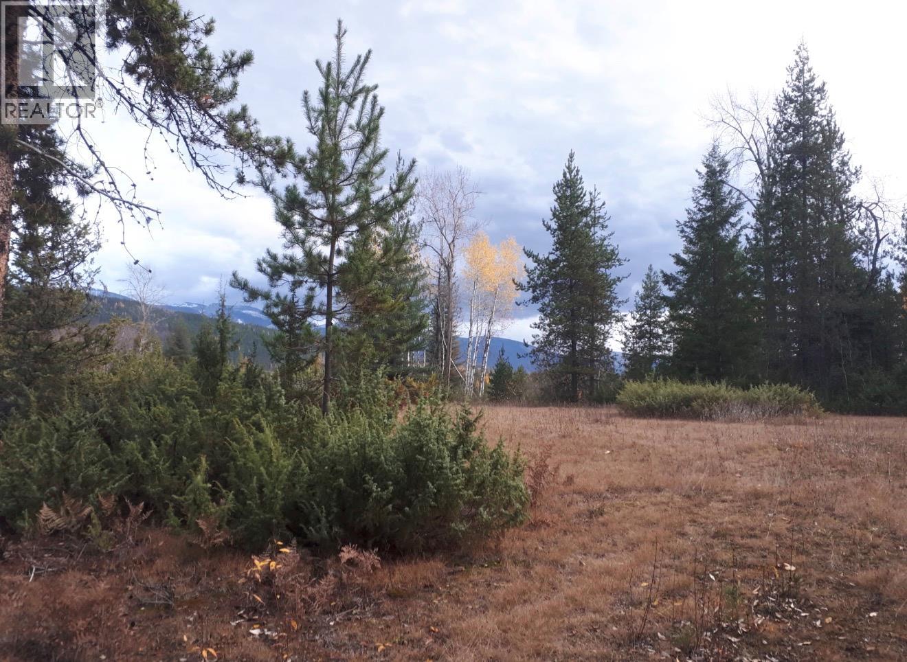 Barnes Creek Forest Service Road Lot# 34, Needles, British Columbia  V0G 1J0 - Photo 19 - 10379532