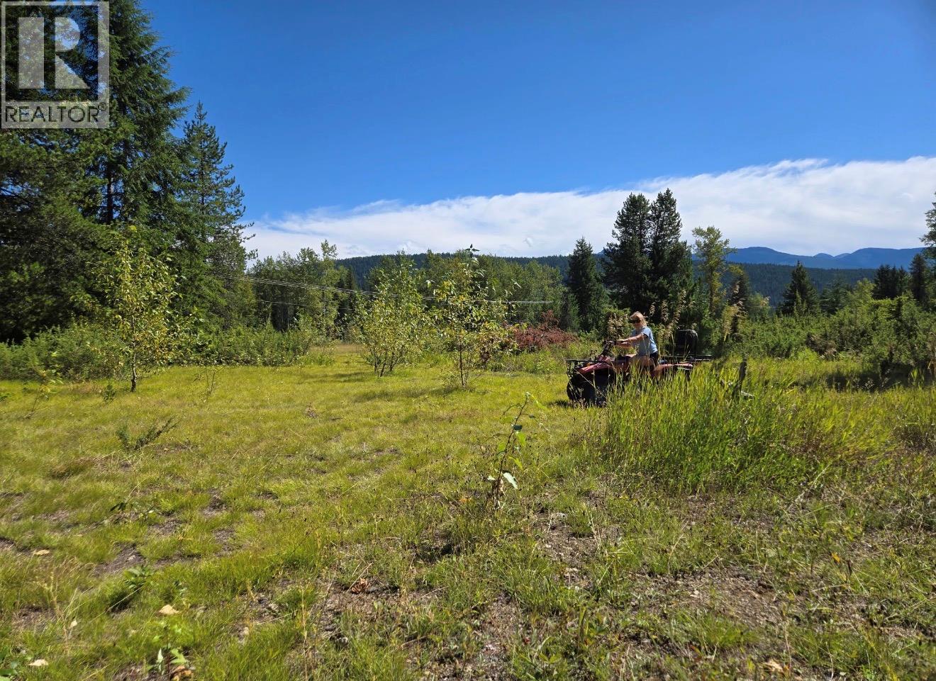 Barnes Creek Forest Service Road Lot# 34, Needles, British Columbia  V0G 1J0 - Photo 2 - 10379532
