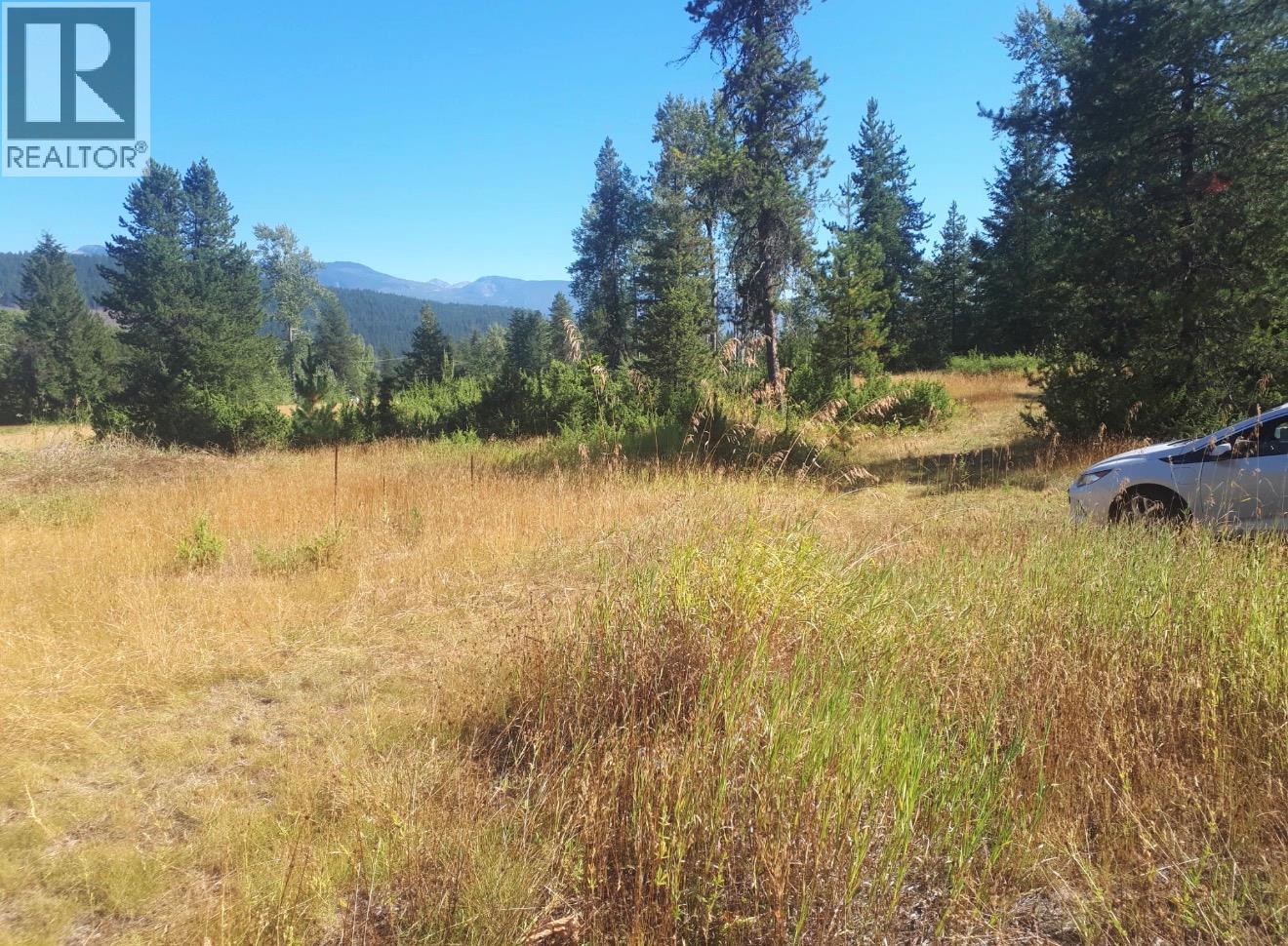 Barnes Creek Forest Service Road Lot# 34, Needles, British Columbia  V0G 1J0 - Photo 3 - 10379532