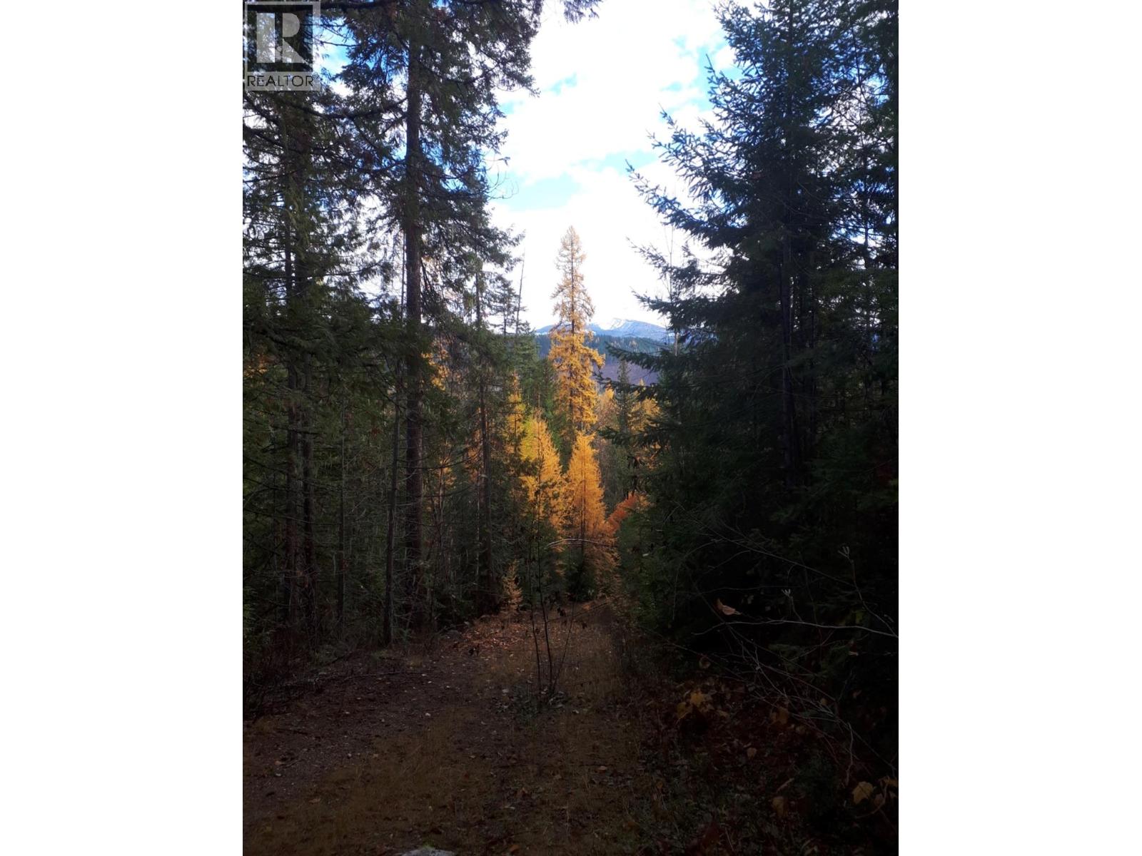 Barnes Creek Forest Service Road Lot# 34, Needles, British Columbia  V0G 1J0 - Photo 7 - 10379532