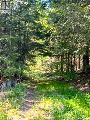 16317 Cedar Road, Crawford Bay, British Columbia  V0B 1E0 - Photo 28 - 10377510