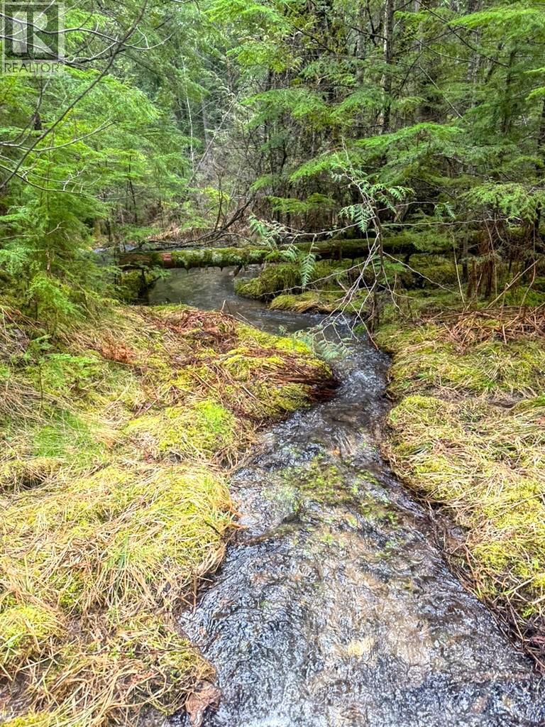 16317 Cedar Road, Crawford Bay, British Columbia  V0B 1E0 - Photo 29 - 10377510