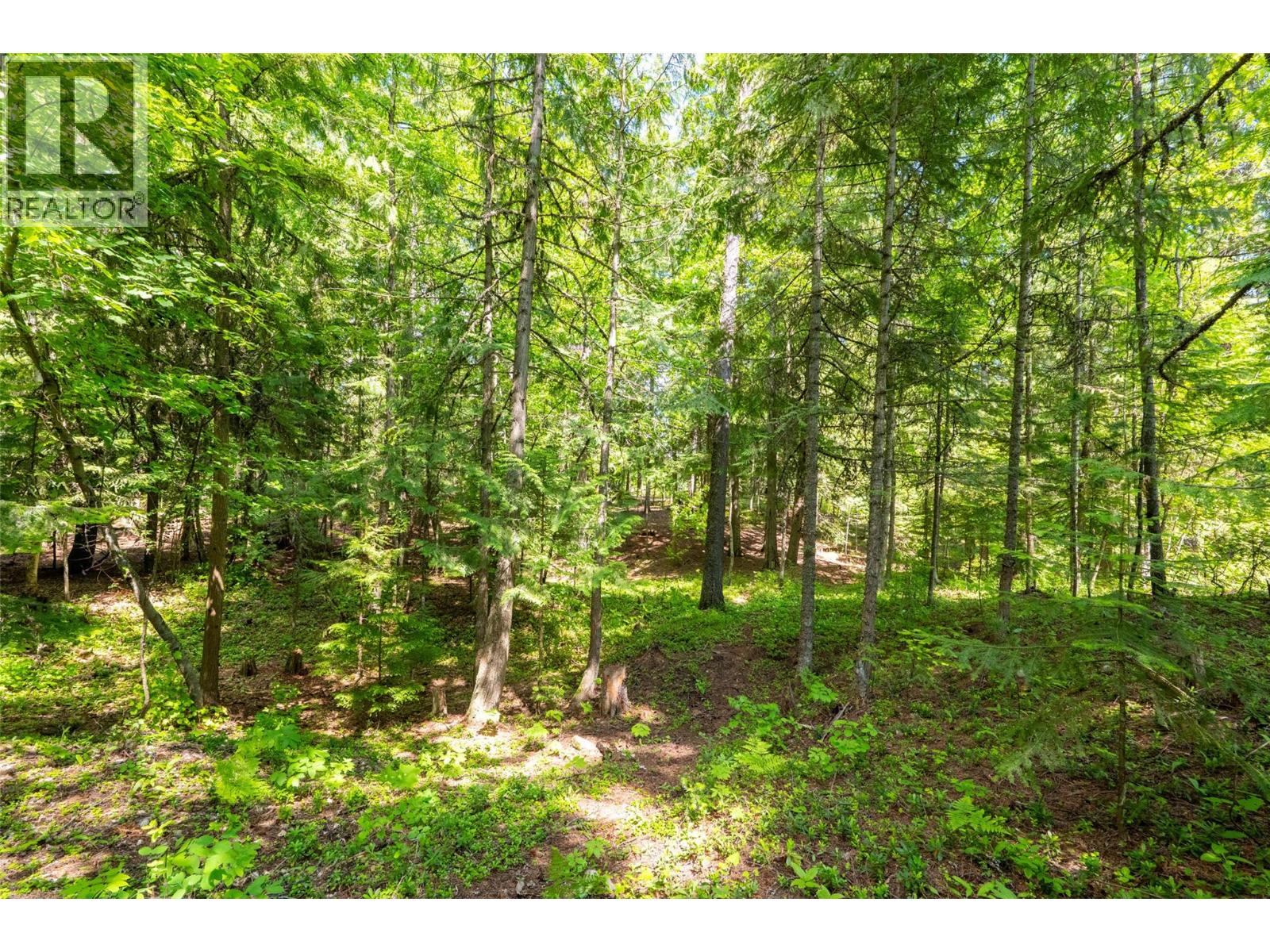 3675 Thompson Road, Bonnington Falls, British Columbia  V0G 2G3 - Photo 56 - 10380816