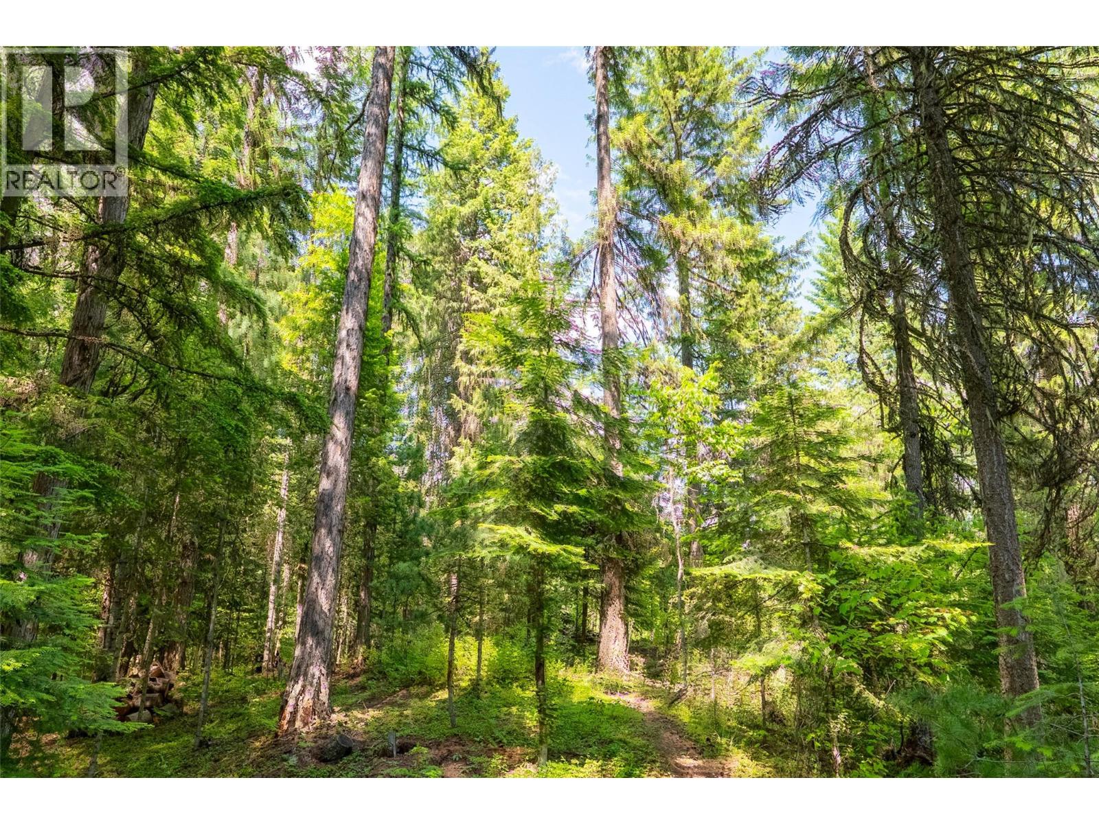 3675 Thompson Road, Bonnington Falls, British Columbia  V0G 2G3 - Photo 57 - 10380816