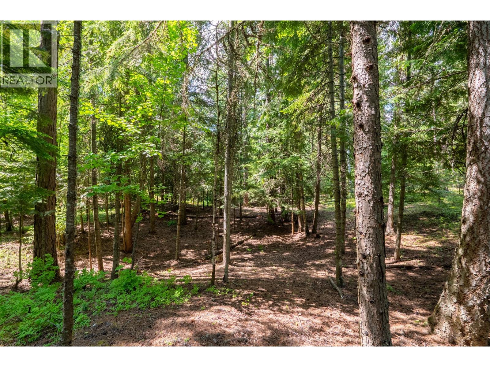 3675 Thompson Road, Bonnington Falls, British Columbia  V0G 2G3 - Photo 59 - 10380816