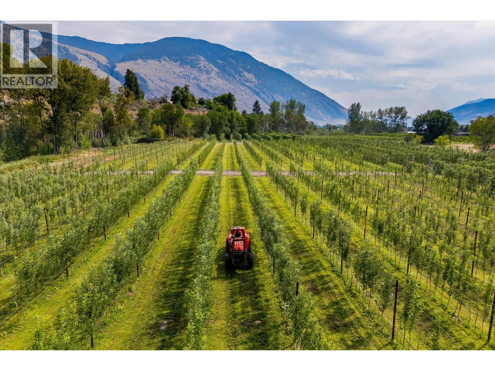 802 Coulthard Road, Cawston, British Columbia  V0X 1C2 - Photo 4 - 10381039