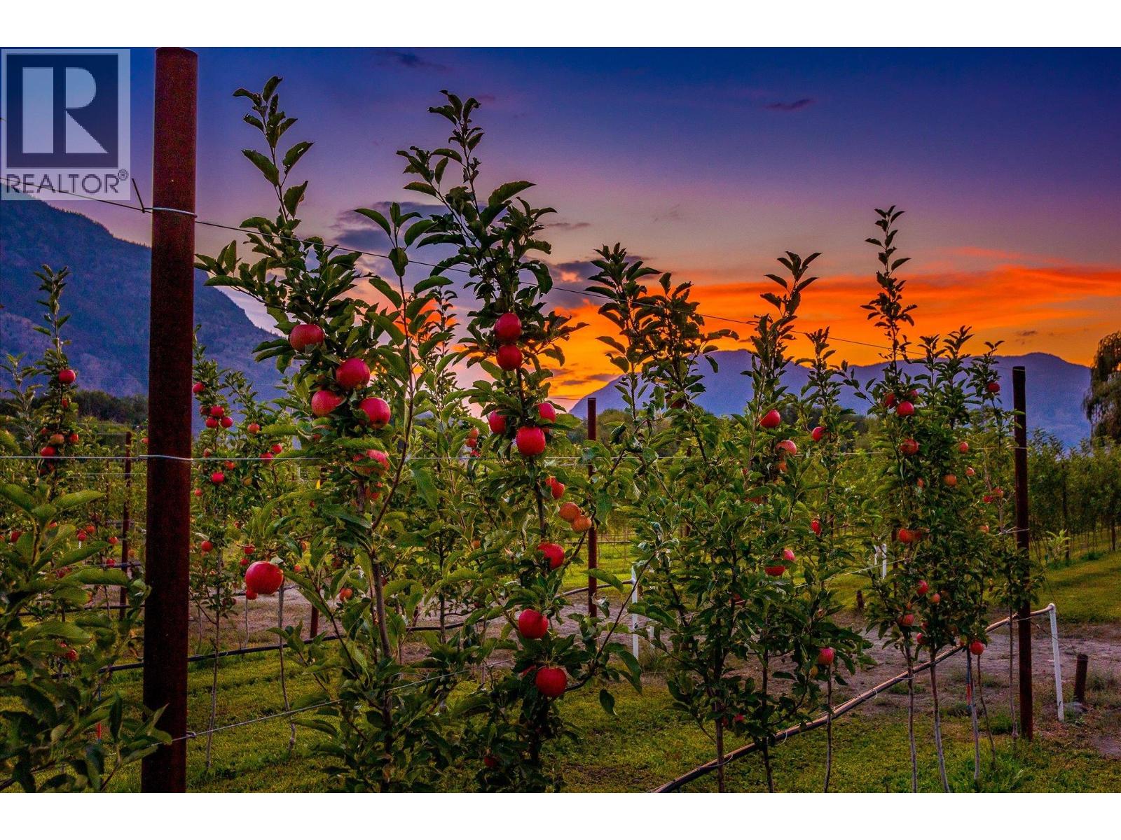 802 Coulthard Road, Cawston, British Columbia  V0X 1C2 - Photo 41 - 10381039