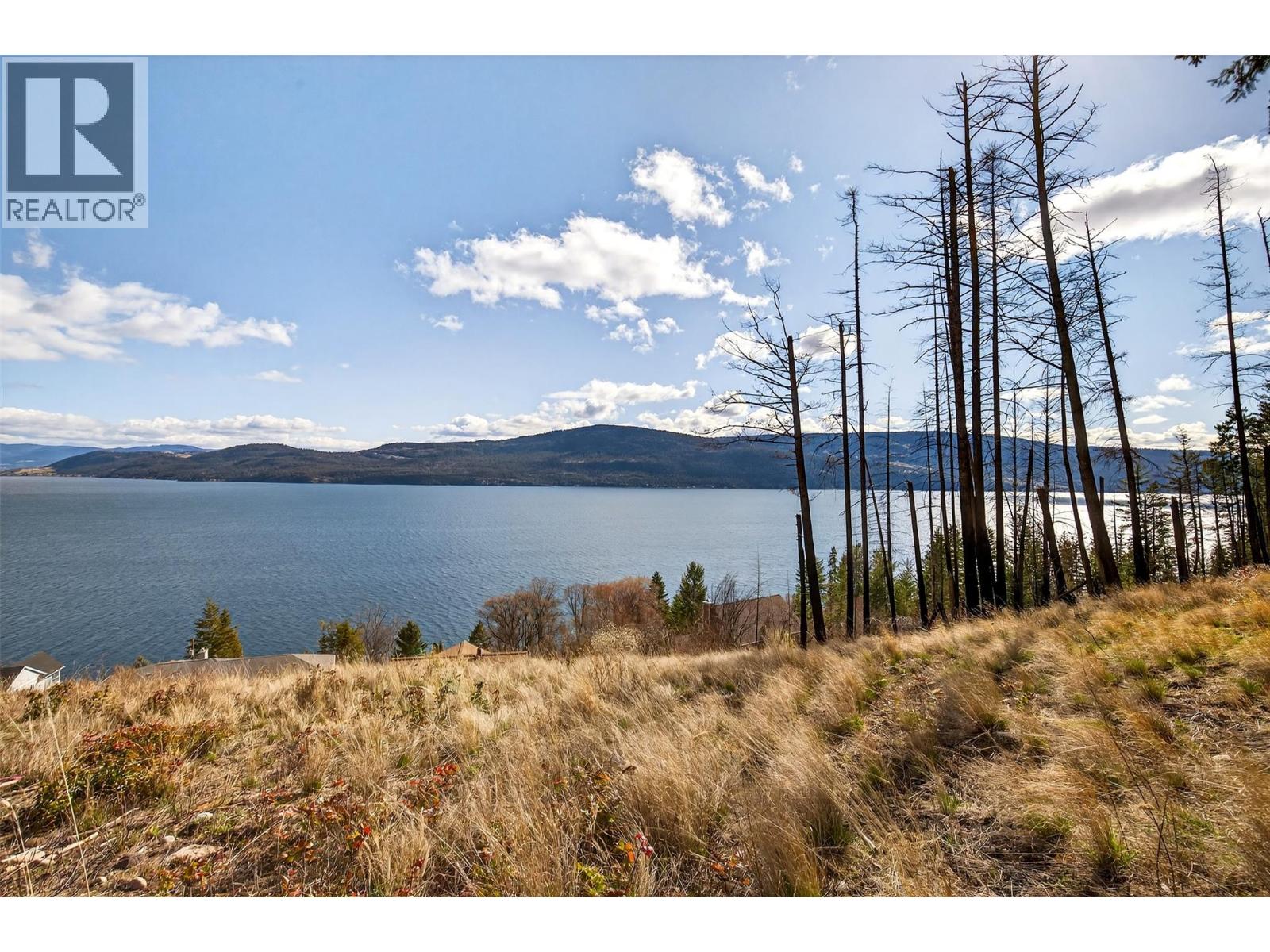 62 Kenyon Road, Vernon, British Columbia  V1H 2E4 - Photo 4 - 10381085