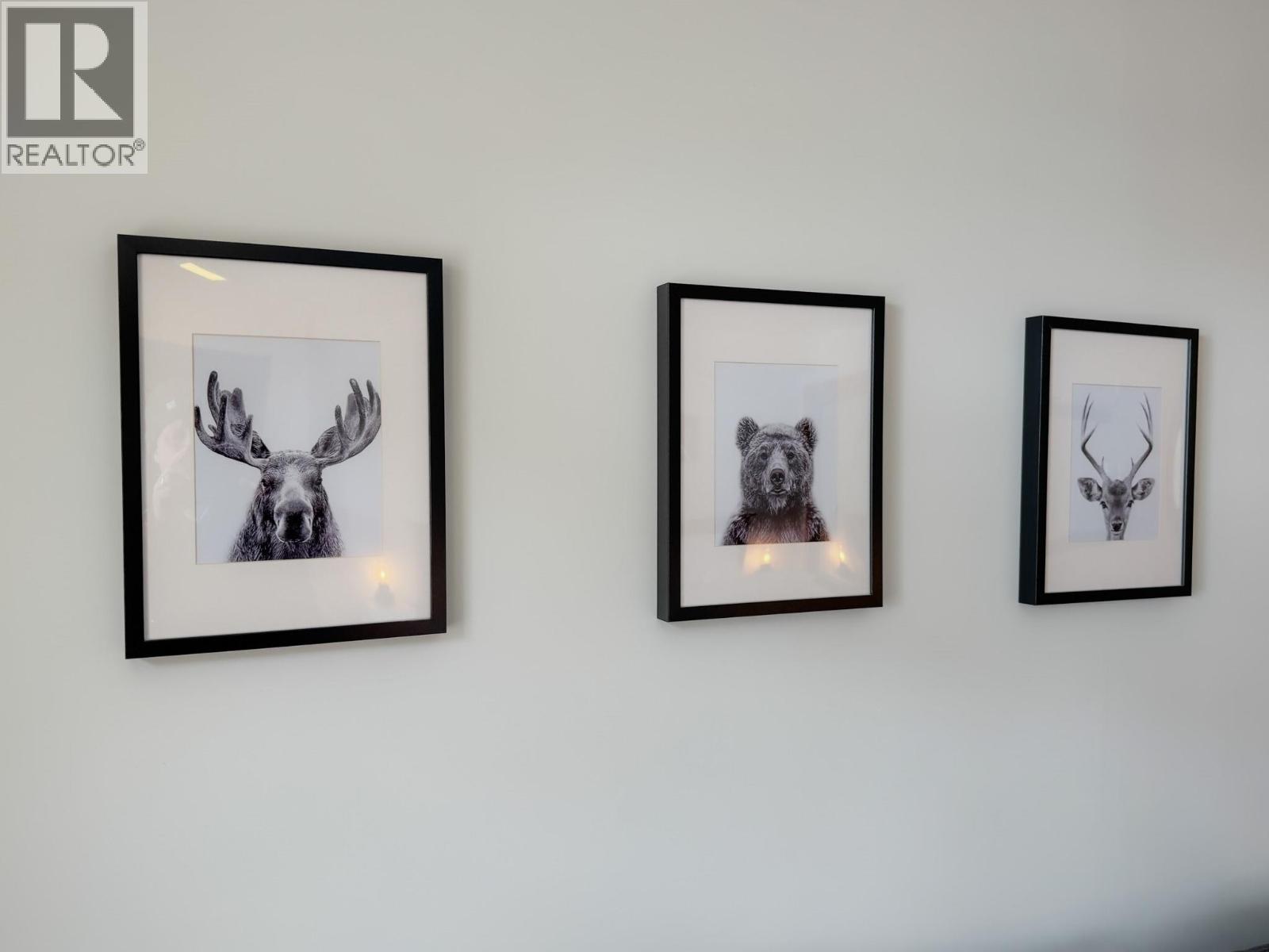 2050 Summit Drive Unit# 205, Panorama, British Columbia  V0A 1T0 - Photo 11 - 10381052