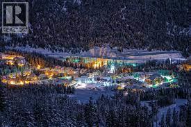 2050 Summit Drive Unit# 205, Panorama, British Columbia  V0A 1T0 - Photo 19 - 10381052