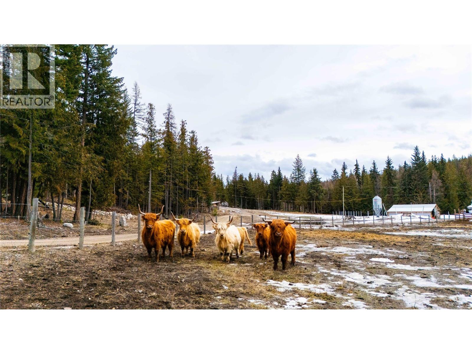 475 Bluenose Road, Coldstream, British Columbia  V1B 3E7 - Photo 71 - 10374537