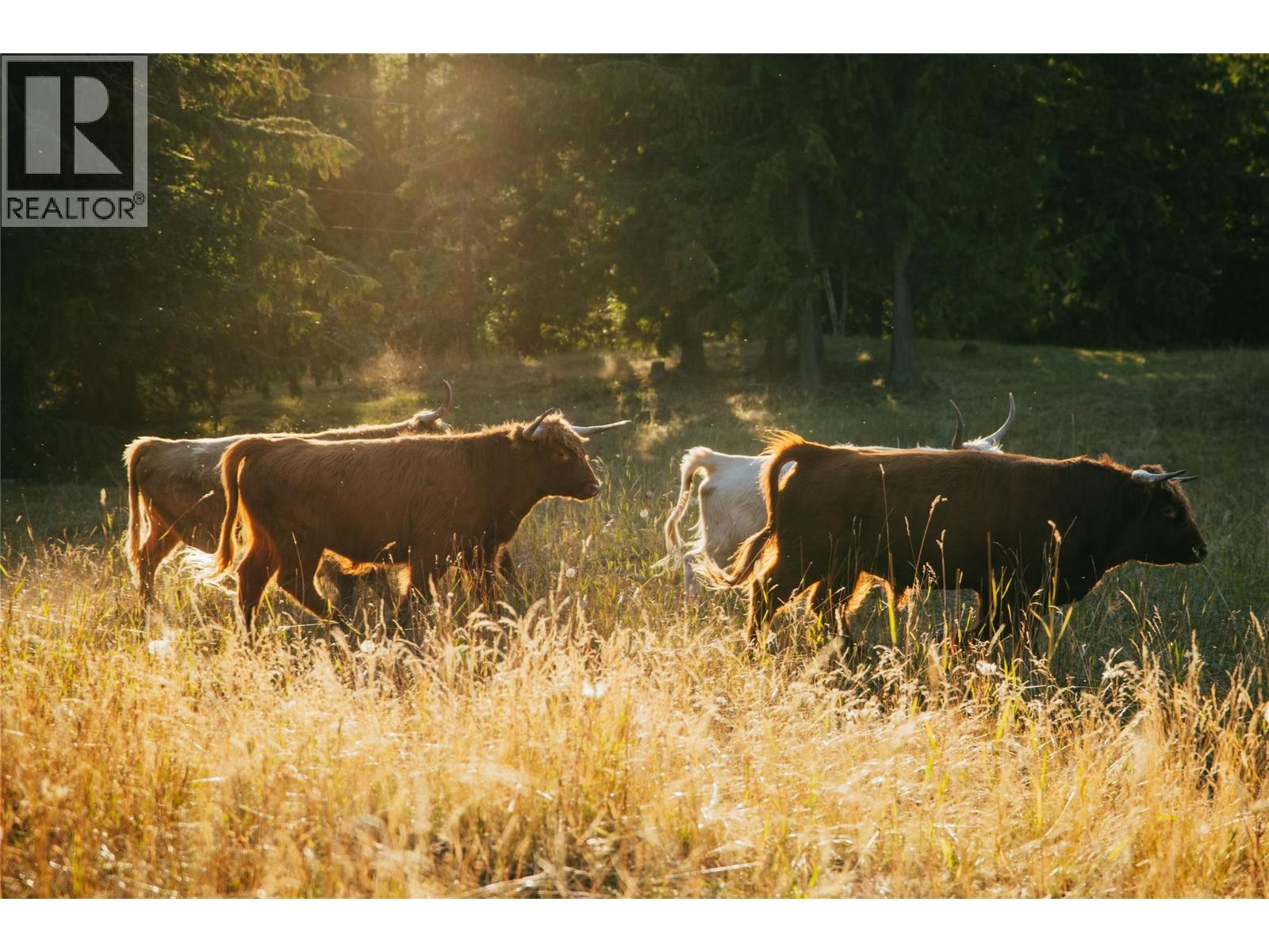 475 Bluenose Road, Coldstream, British Columbia  V1B 3E7 - Photo 72 - 10374537