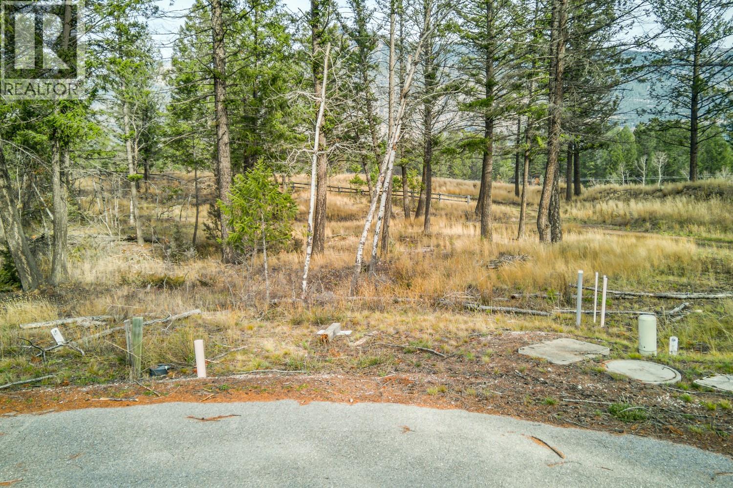 Pedley Heights Drive Lot# 51, Windermere, British Columbia  V0B 2L1 - Photo 10 - 10380755