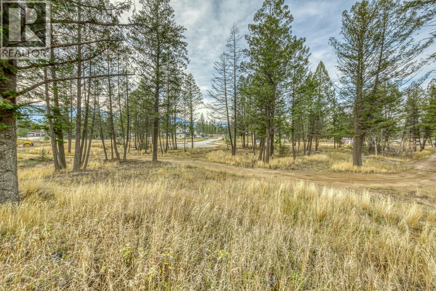 Pedley Heights Drive Lot# 51, Windermere, British Columbia  V0B 2L1 - Photo 11 - 10380755