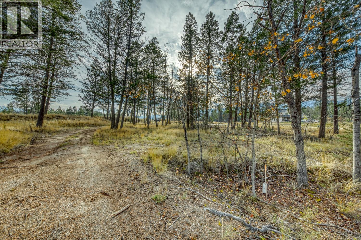 Pedley Heights Drive Lot# 51, Windermere, British Columbia  V0B 2L1 - Photo 14 - 10380755