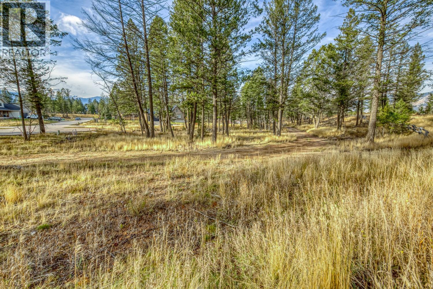 Pedley Heights Drive Lot# 51, Windermere, British Columbia  V0B 2L1 - Photo 15 - 10380755