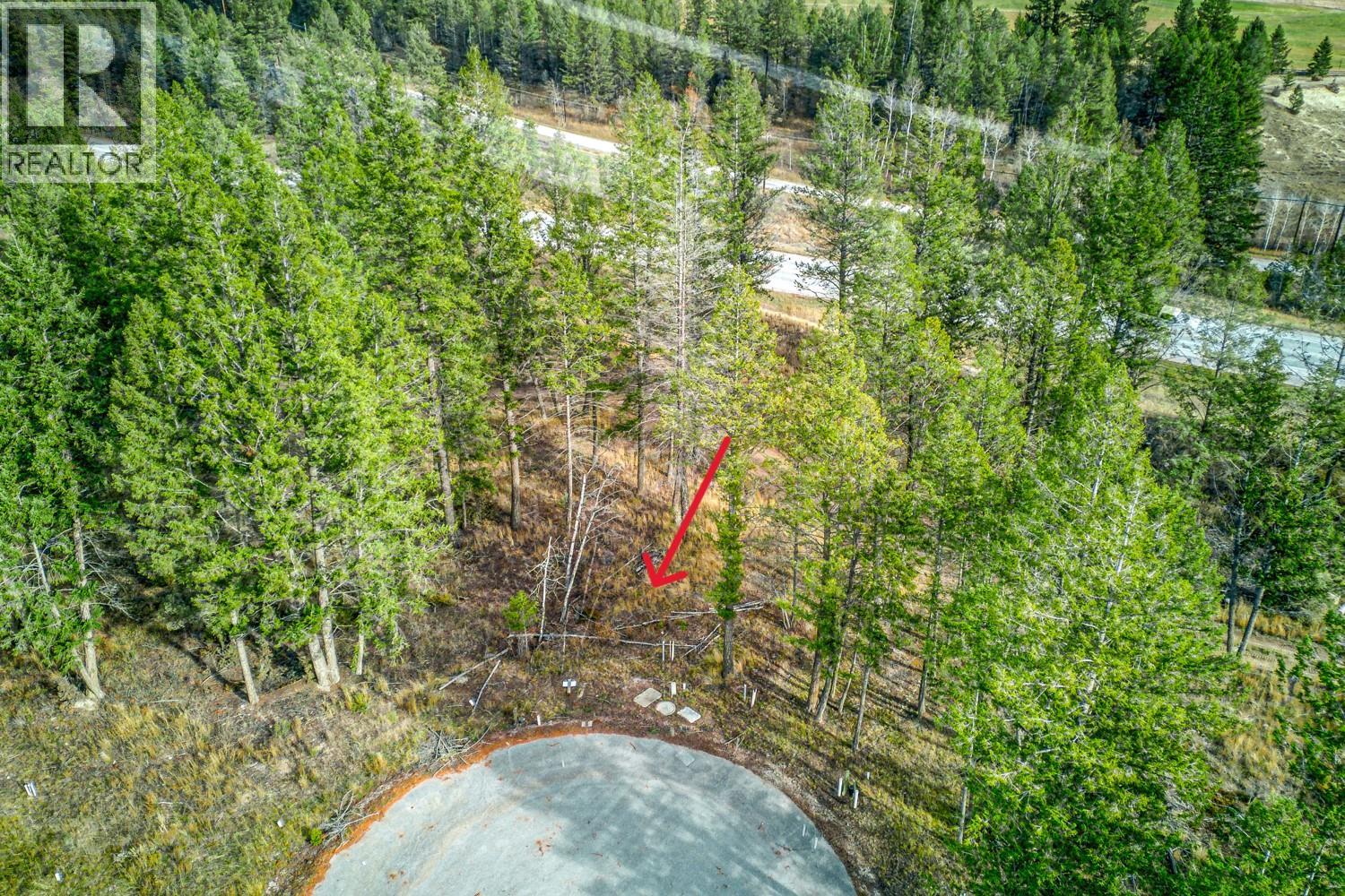 Pedley Heights Drive Lot# 51, Windermere, British Columbia  V0B 2L1 - Photo 17 - 10380755