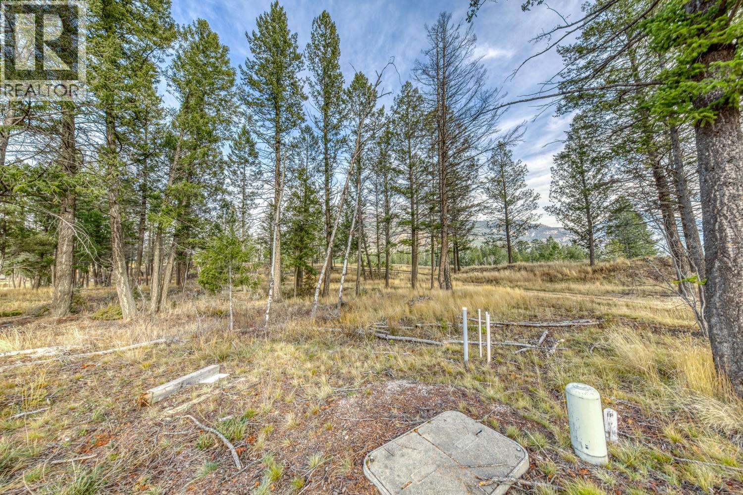 Pedley Heights Drive Lot# 51, Windermere, British Columbia  V0B 2L1 - Photo 4 - 10380755