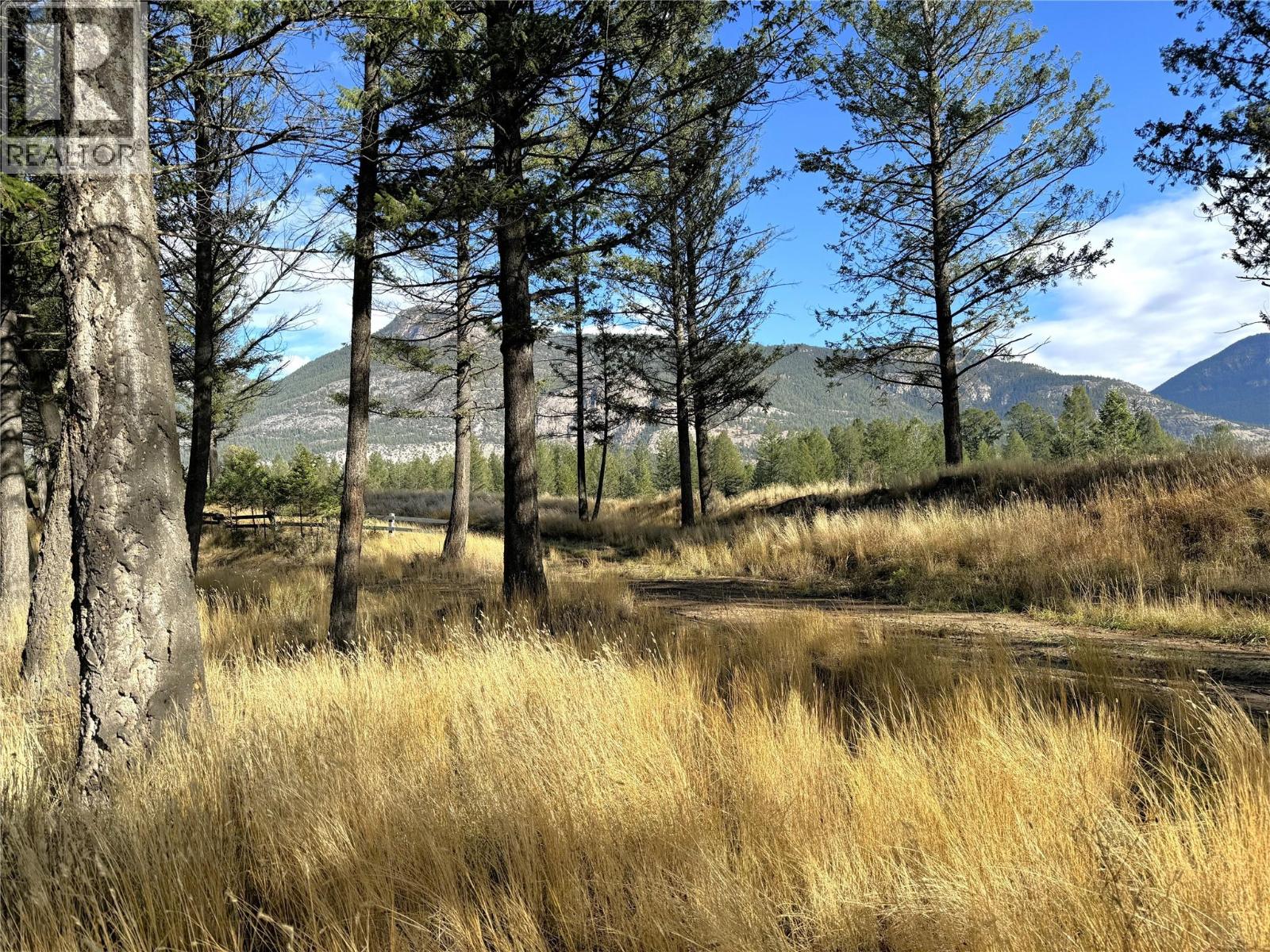 Pedley Heights Drive Lot# 51, Windermere, British Columbia  V0B 2L1 - Photo 6 - 10380755