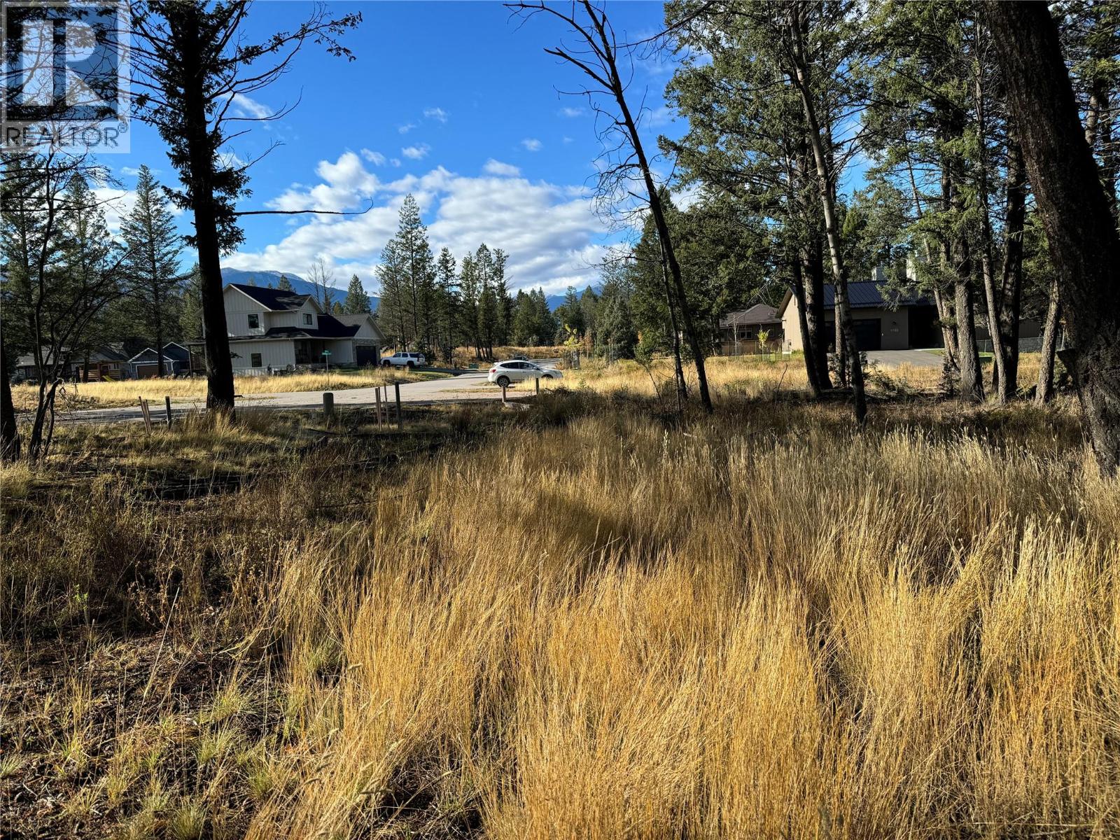 Pedley Heights Drive Lot# 51, Windermere, British Columbia  V0B 2L1 - Photo 7 - 10380755