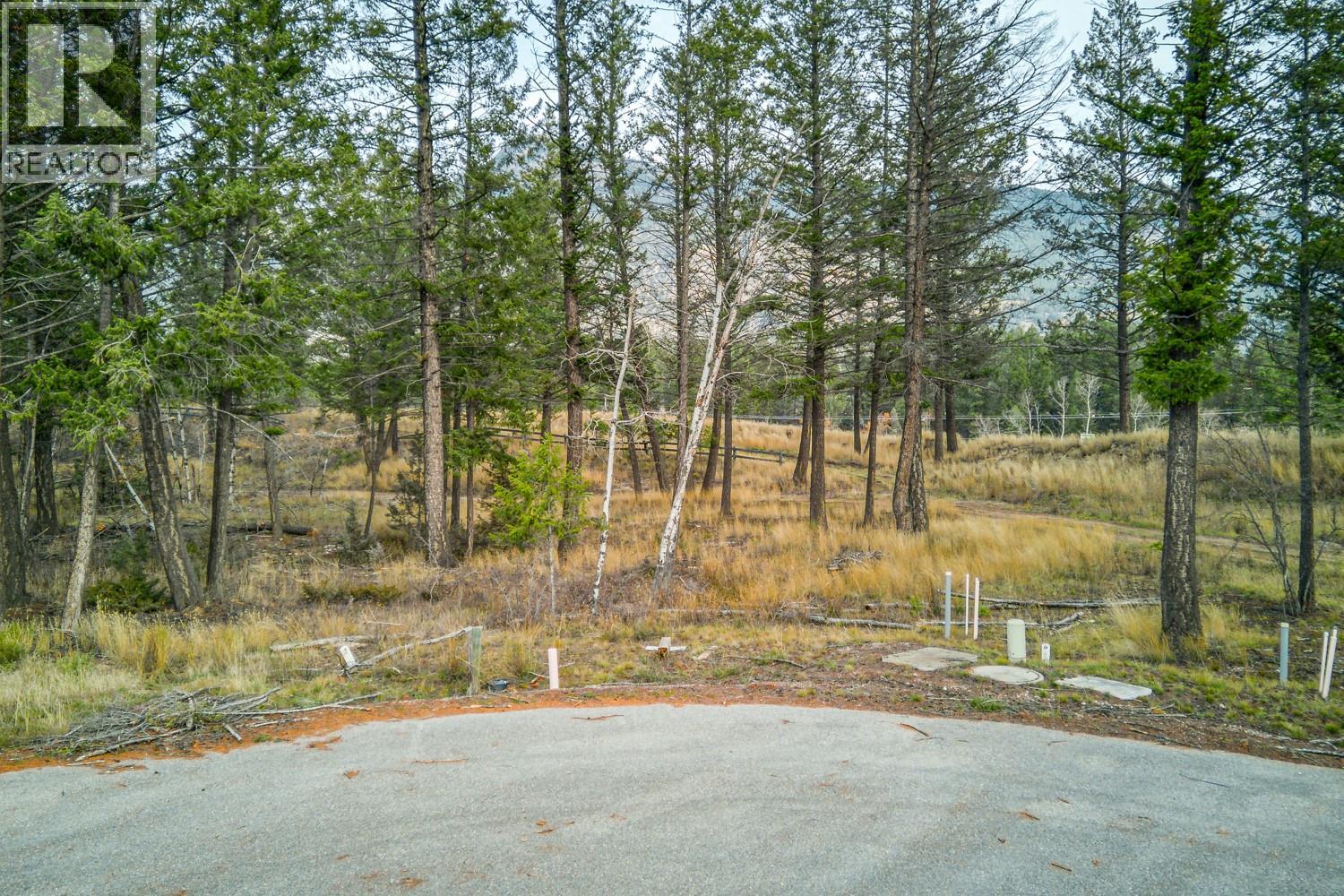Pedley Heights Drive Lot# 51, Windermere, British Columbia  V0B 2L1 - Photo 9 - 10380755