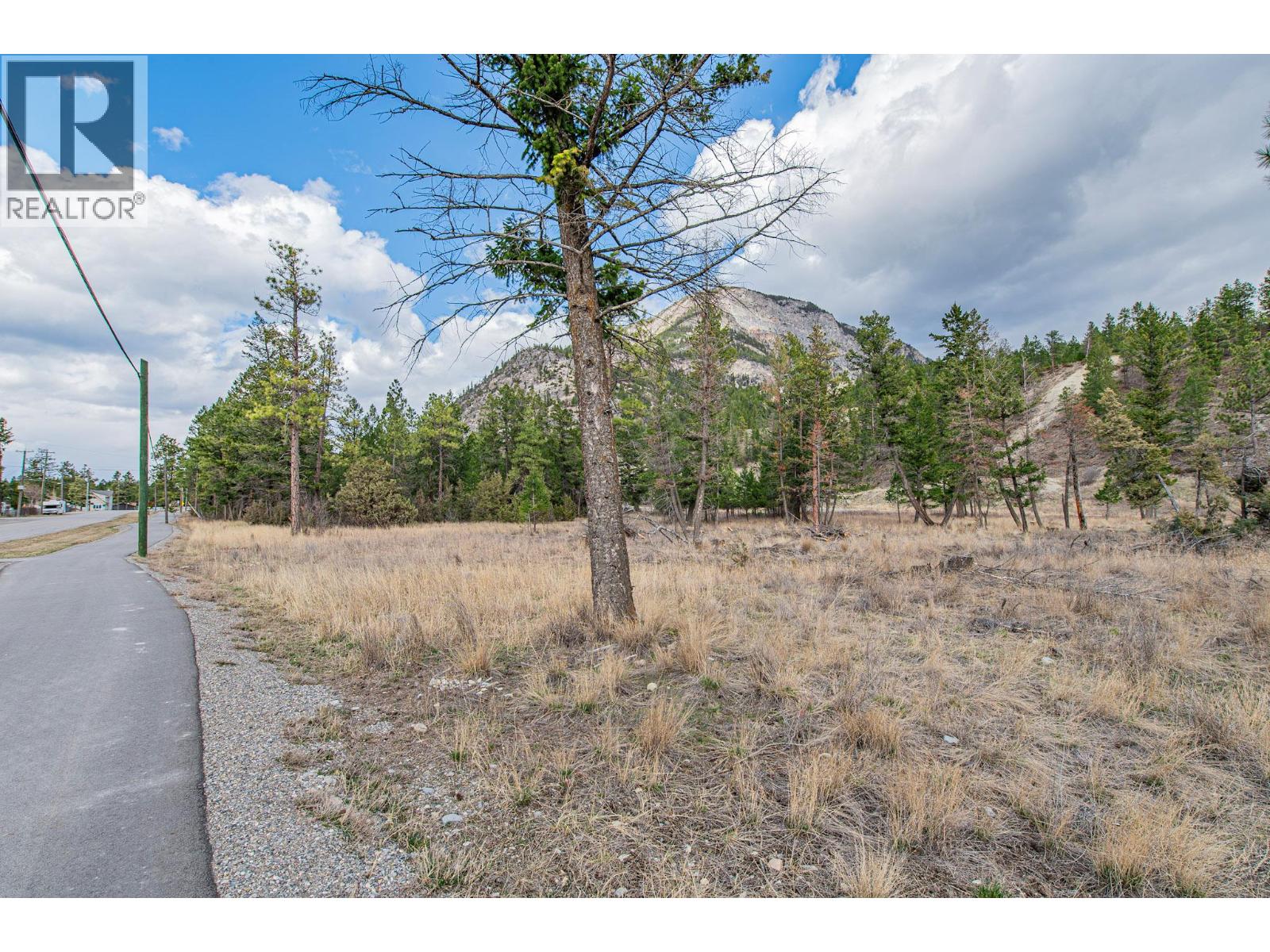 8850 Grainger Road, Canal Flats, British Columbia  V0B 1B0 - Photo 27 - 10381191