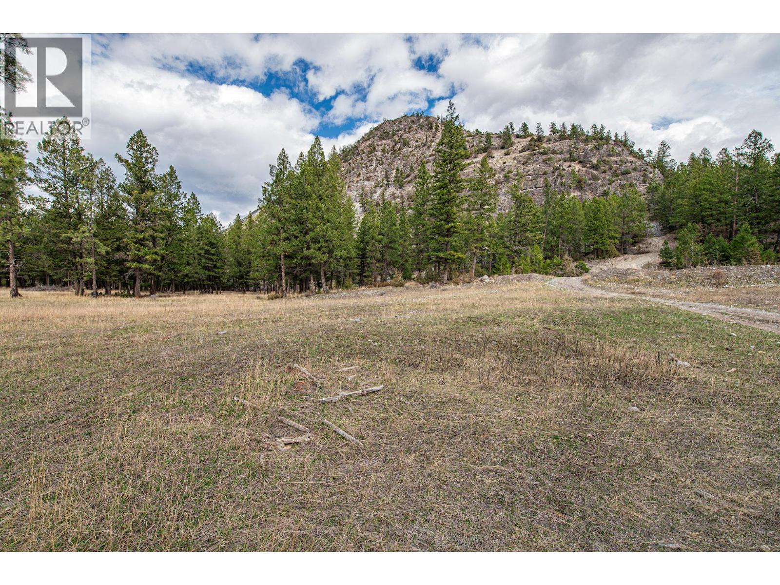 8850 Grainger Road, Canal Flats, British Columbia  V0B 1B0 - Photo 4 - 10381191