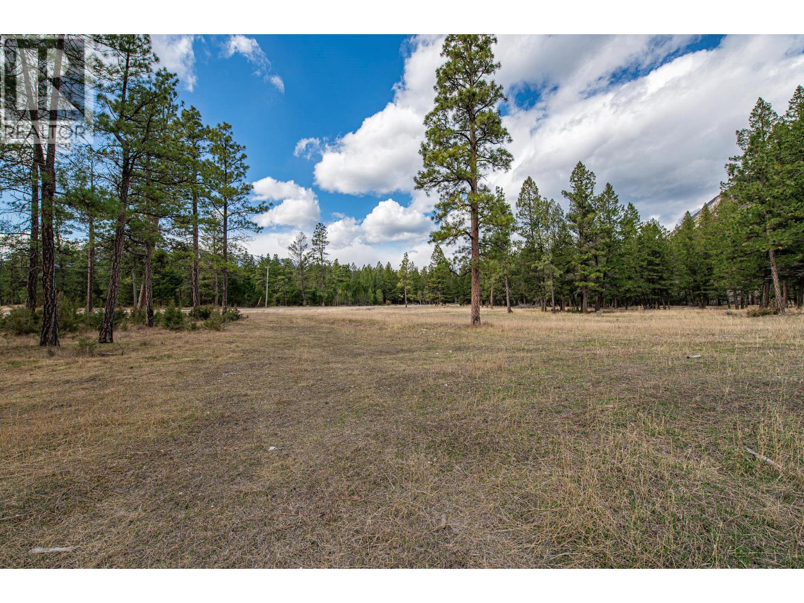 8850 Grainger Road, Canal Flats, British Columbia  V0B 1B0 - Photo 6 - 10381191