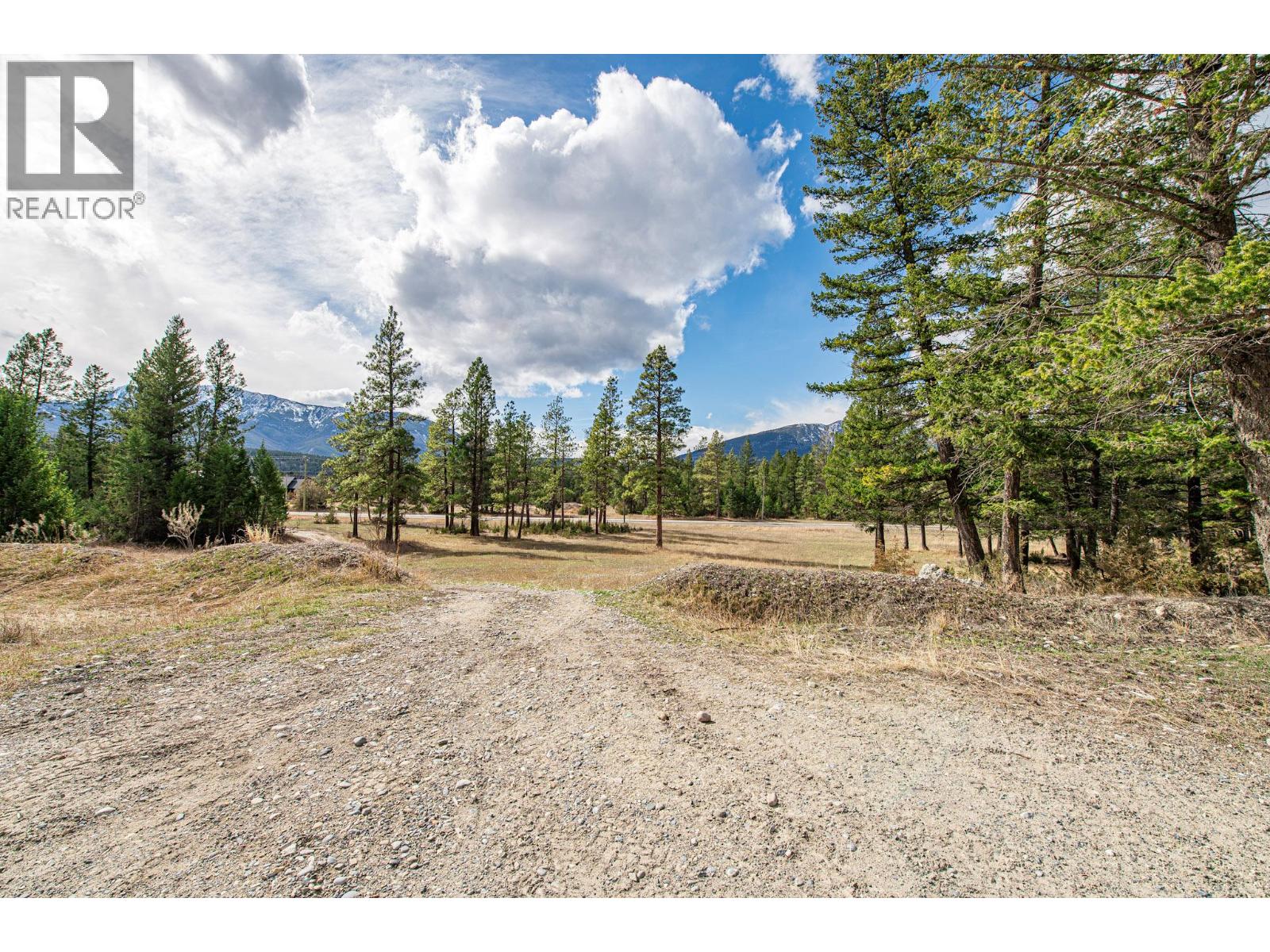 8850 Grainger Road, Canal Flats, British Columbia  V0B 1B0 - Photo 8 - 10381191