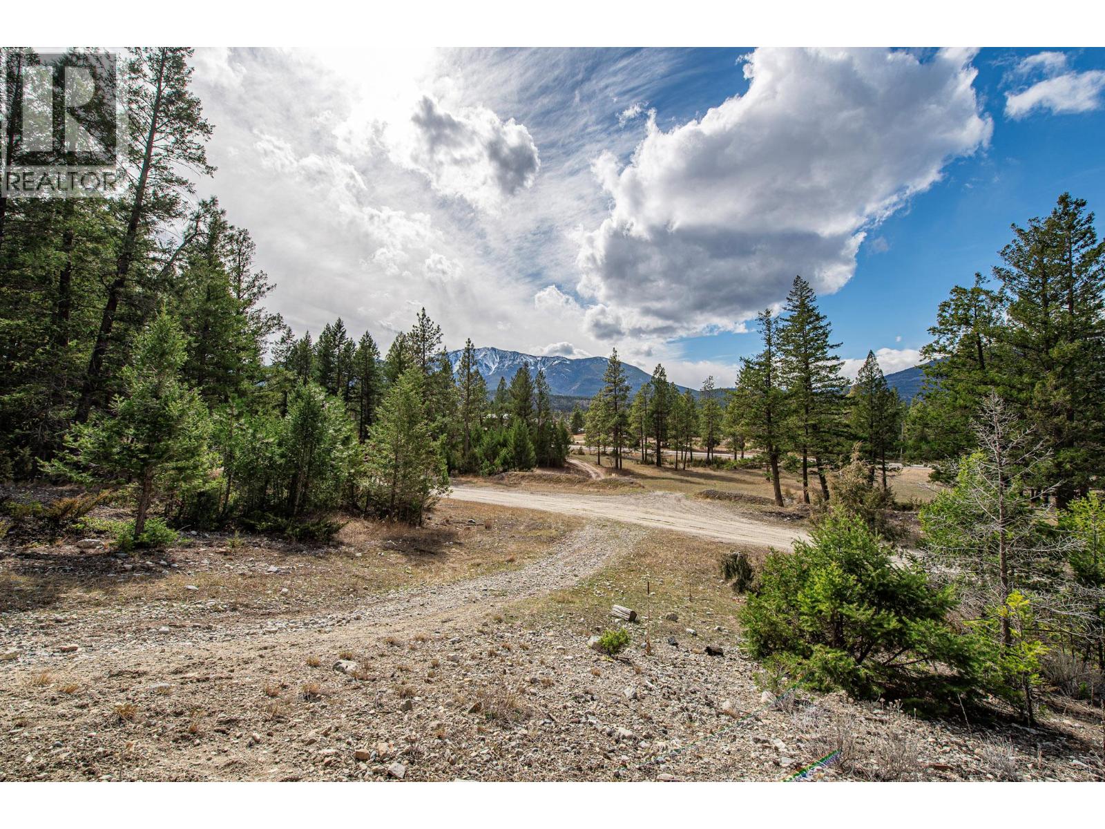 8850 Grainger Road, Canal Flats, British Columbia  V0B 1B0 - Photo 9 - 10381191