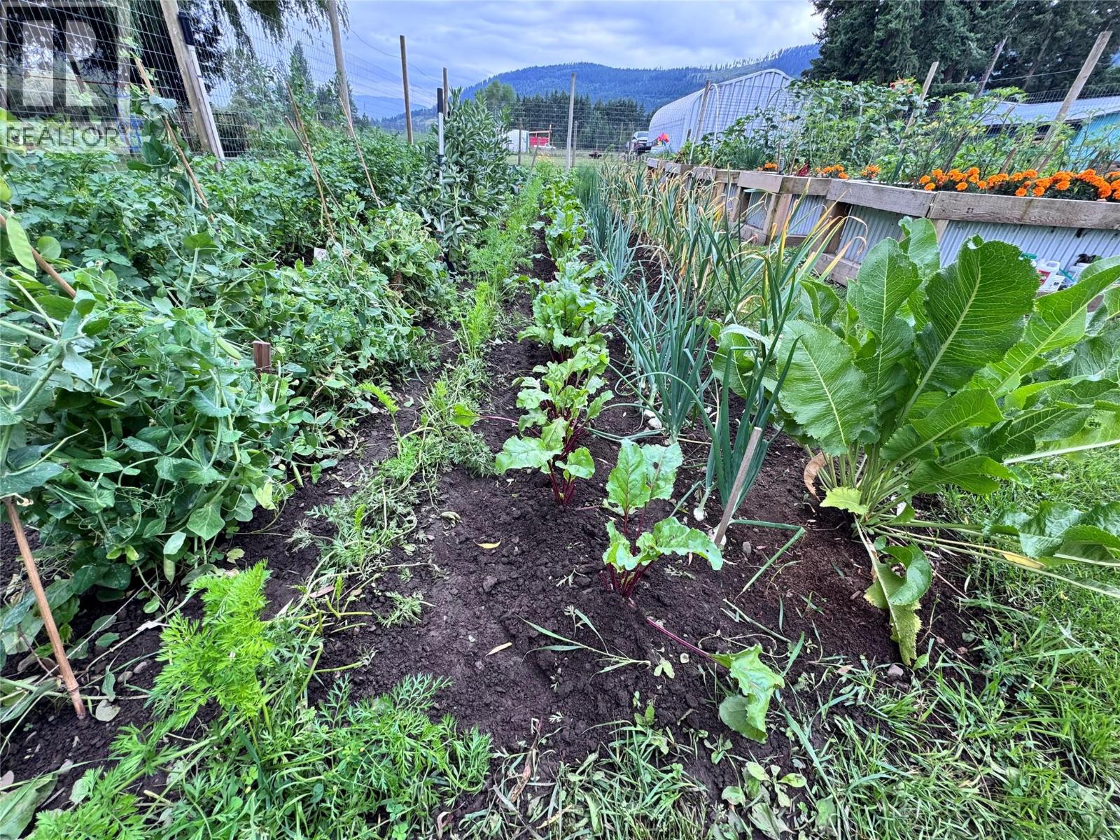 303 Lumby Mabel Lake Road, Lumby, British Columbia  V0E 2G5 - Photo 43 - 10381221