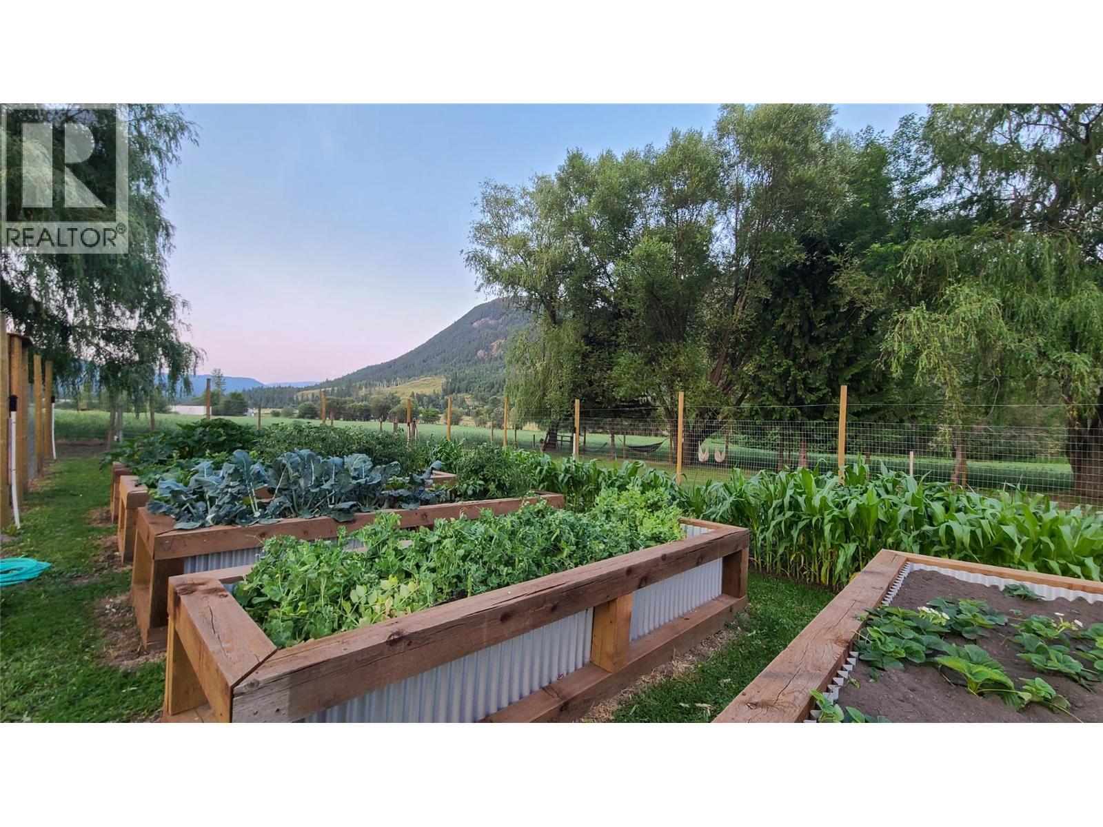 303 Lumby Mabel Lake Road, Lumby, British Columbia  V0E 2G5 - Photo 5 - 10381221