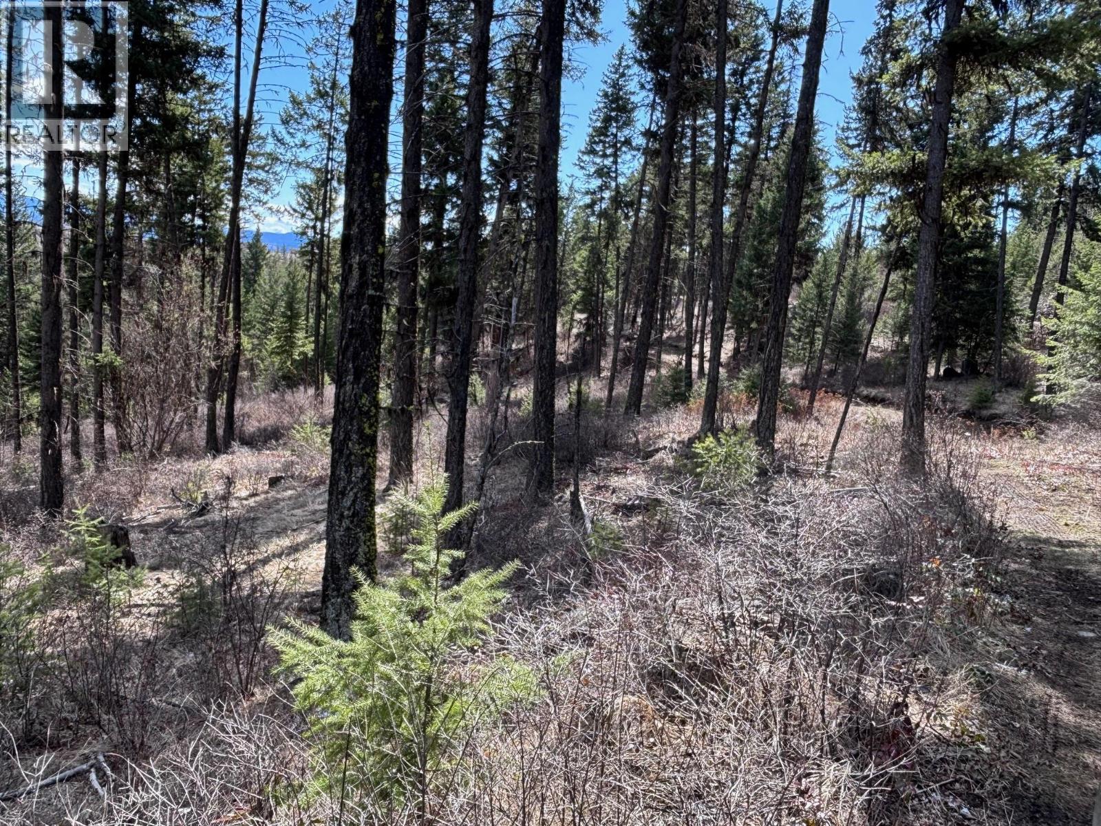 Lot 4 Hulme Creek Road, Rock Creek, British Columbia  V0H 1Y0 - Photo 1 - 10381139