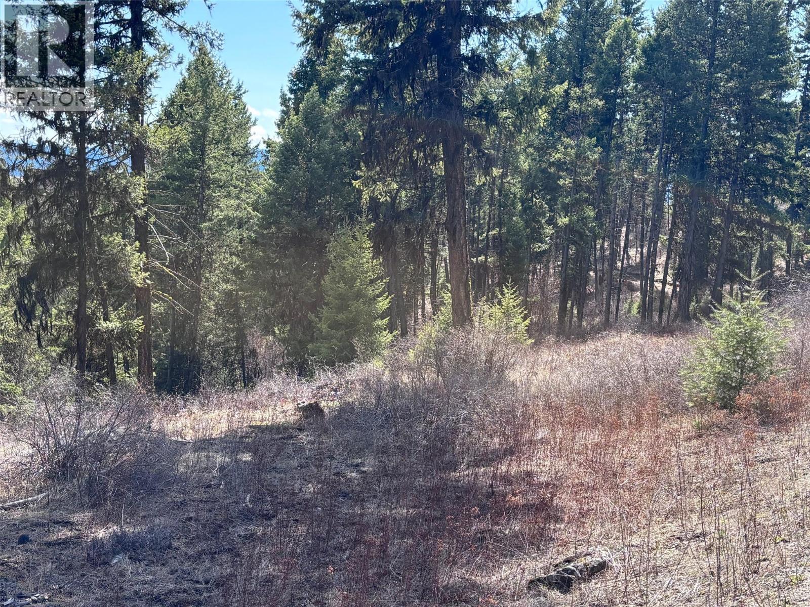 Lot 4 Hulme Creek Road, Rock Creek, British Columbia  V0H 1Y0 - Photo 2 - 10381139