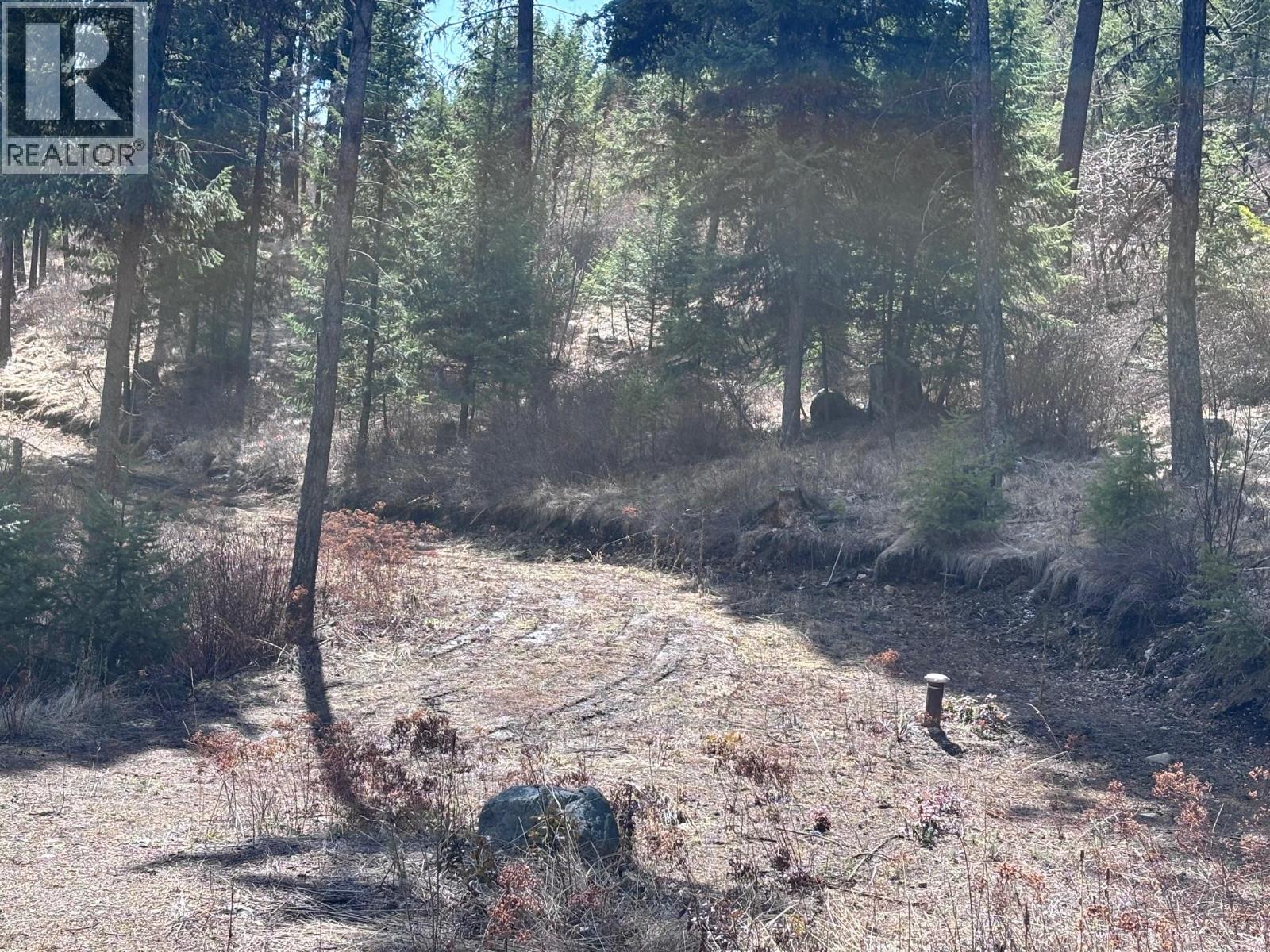 Lot 4 Hulme Creek Road, Rock Creek, British Columbia  V0H 1Y0 - Photo 3 - 10381139