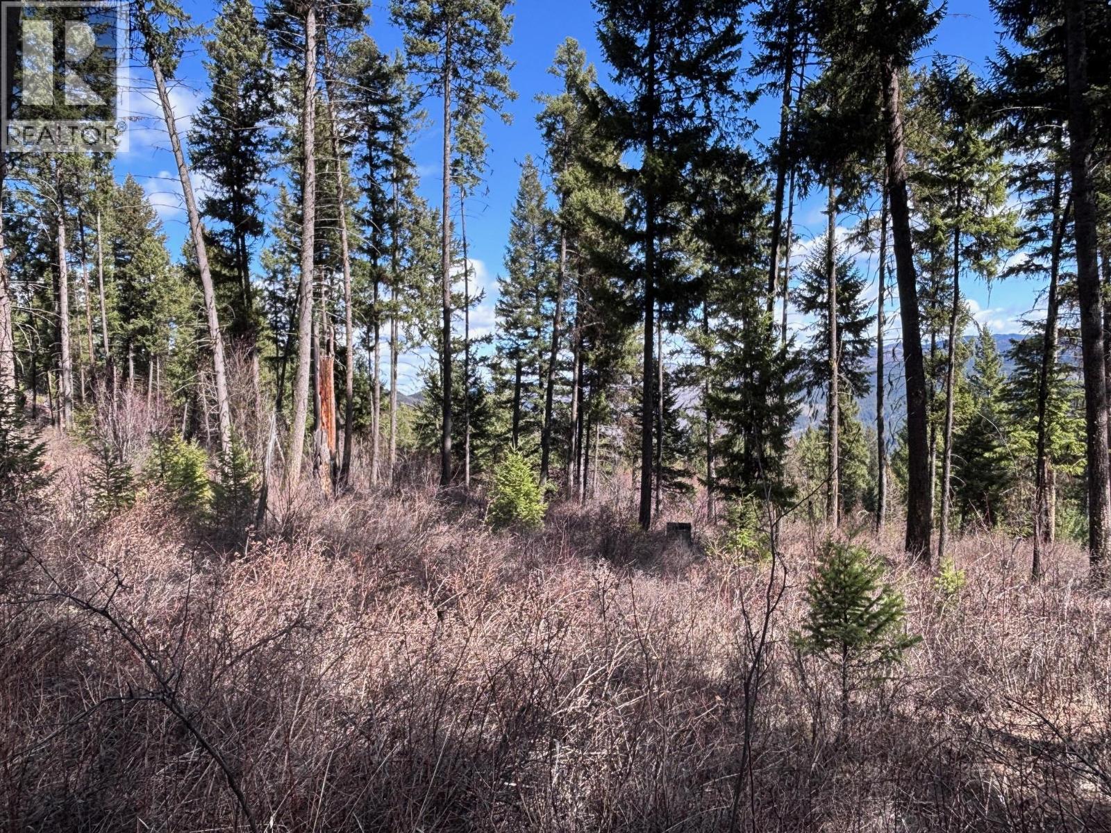 Lot 4 Hulme Creek Road, Rock Creek, British Columbia  V0H 1Y0 - Photo 4 - 10381139