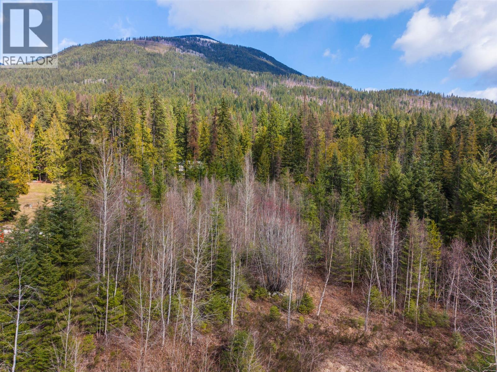 7077 Beggs Road, Nelson, British Columbia  V1L 6S5 - Photo 30 - 10381192