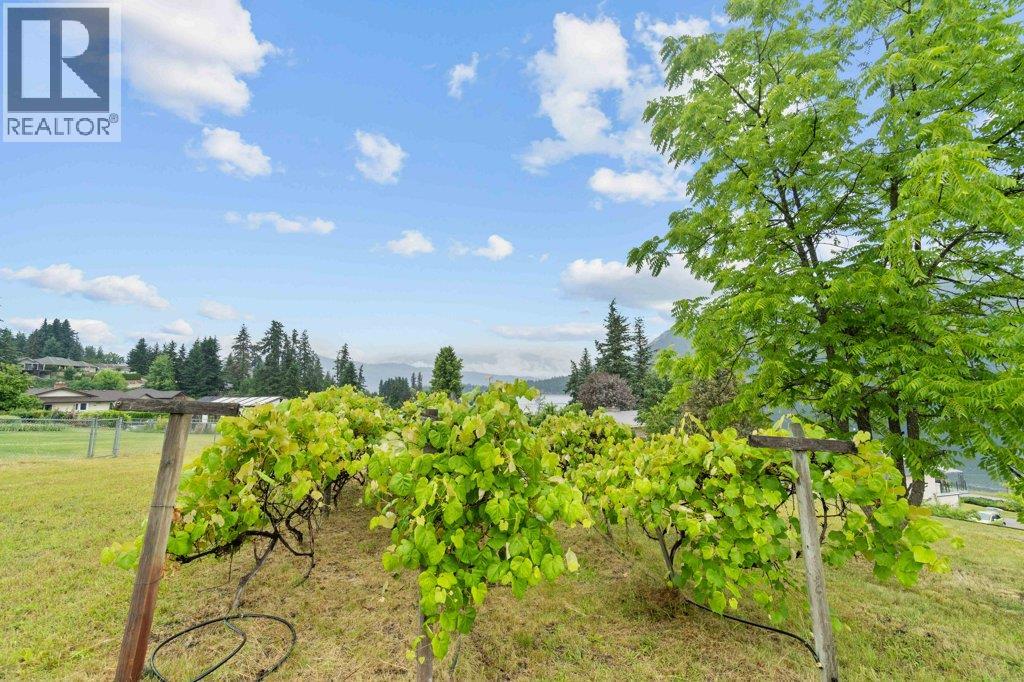 2504 Blind Bay Road, Blind Bay, British Columbia  V0E 1H1 - Photo 90 - 10380732