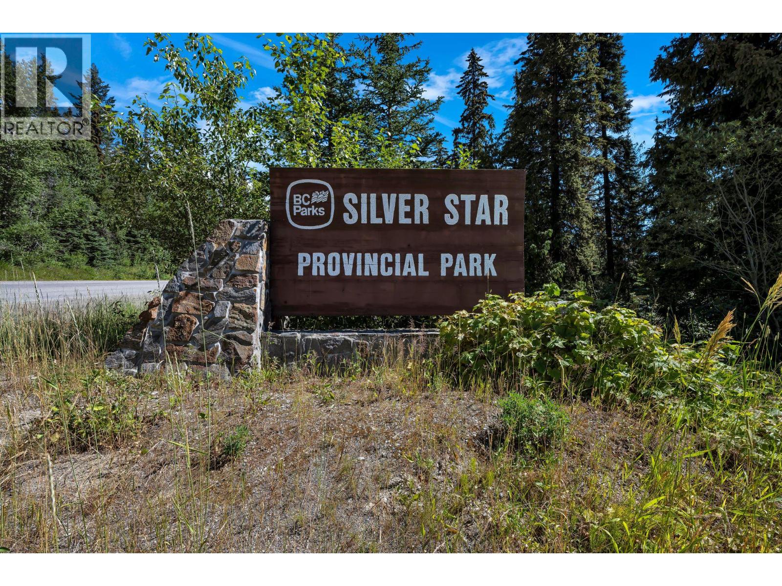 9810 Silver Star Road Unit# 306, Silver Star, British Columbia  V1B 3X5 - Photo 50 - 10380854