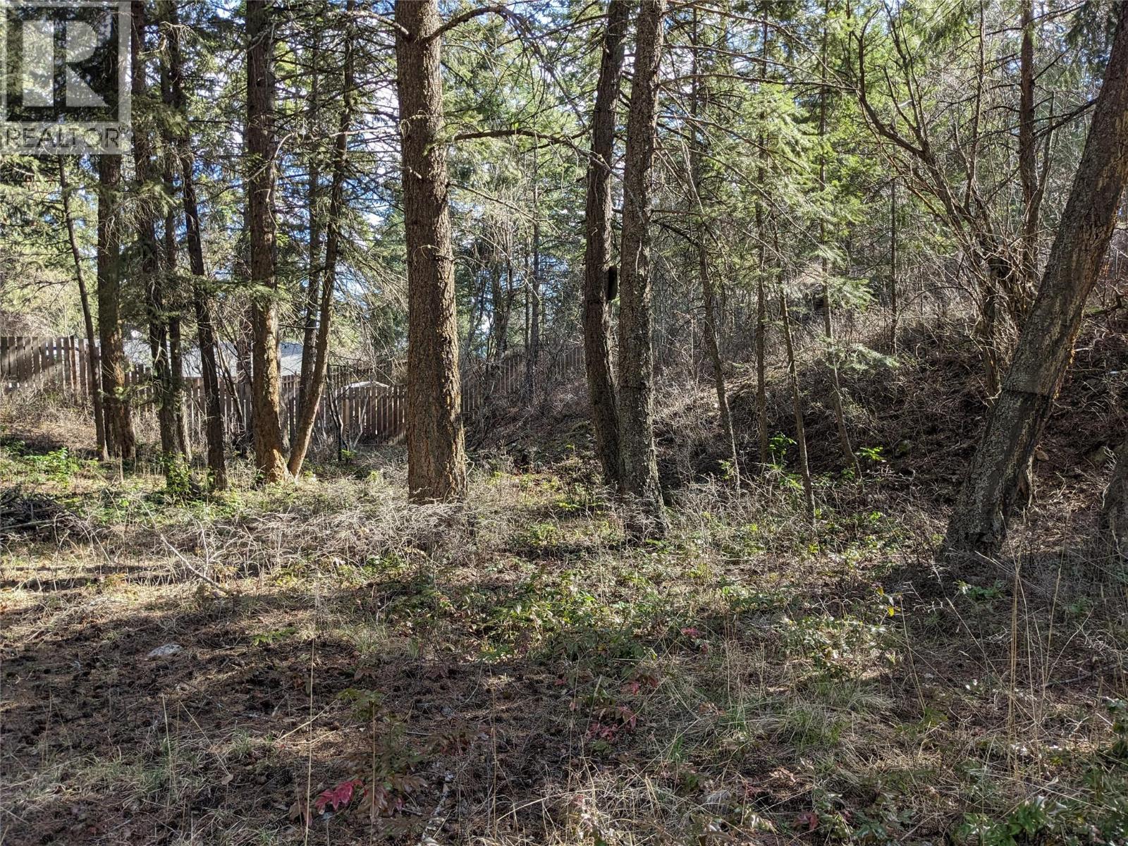 10825 Westshore Road, Vernon, British Columbia  V1H 2C3 - Photo 12 - 10380771